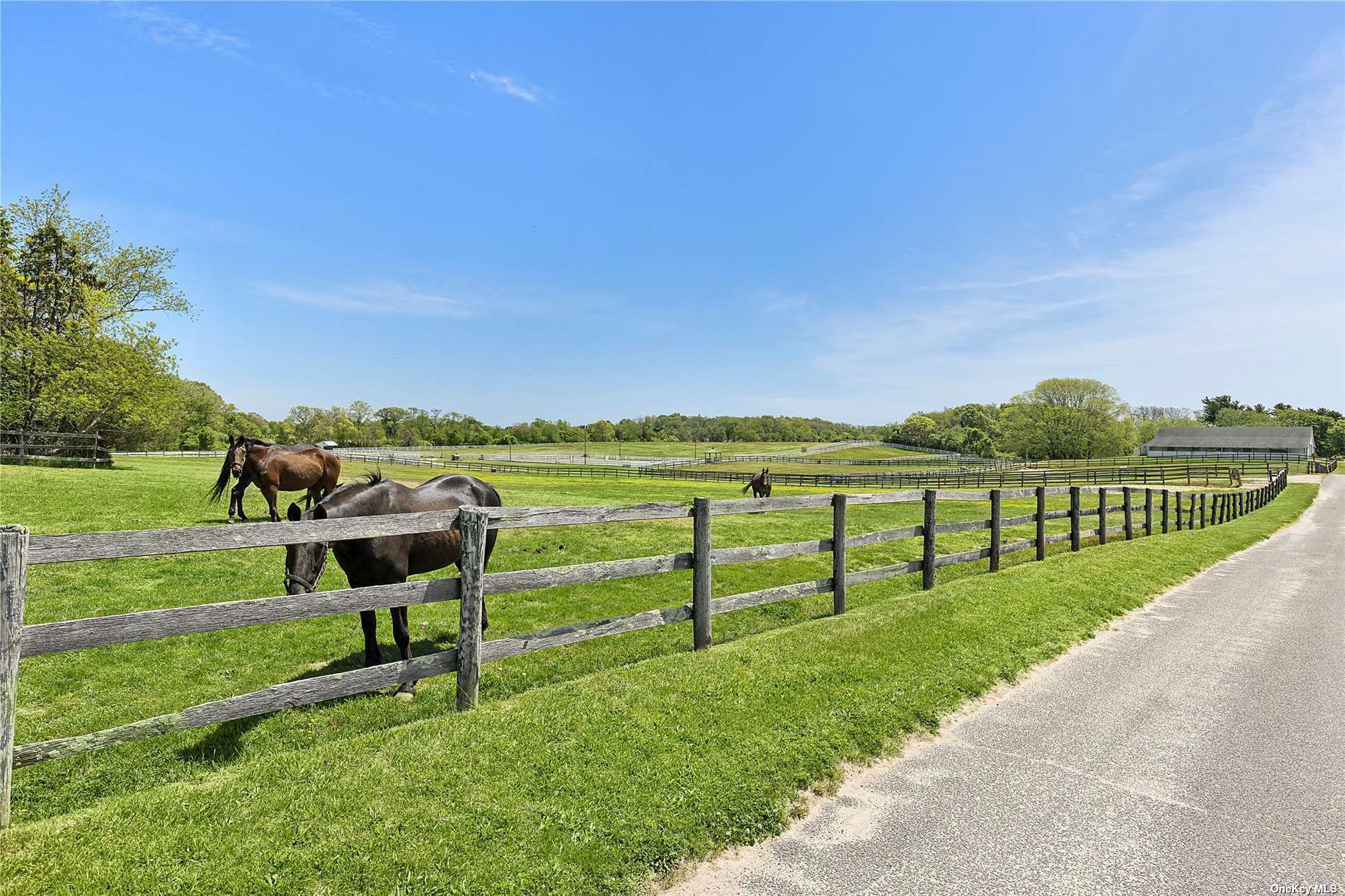 1396 Main Rd., Jamesport, New York, 11947, United States, 4 Bedrooms Bedrooms, ,2 BathroomsBathrooms,Residential,For Sale,1396 Main Rd.,1498592