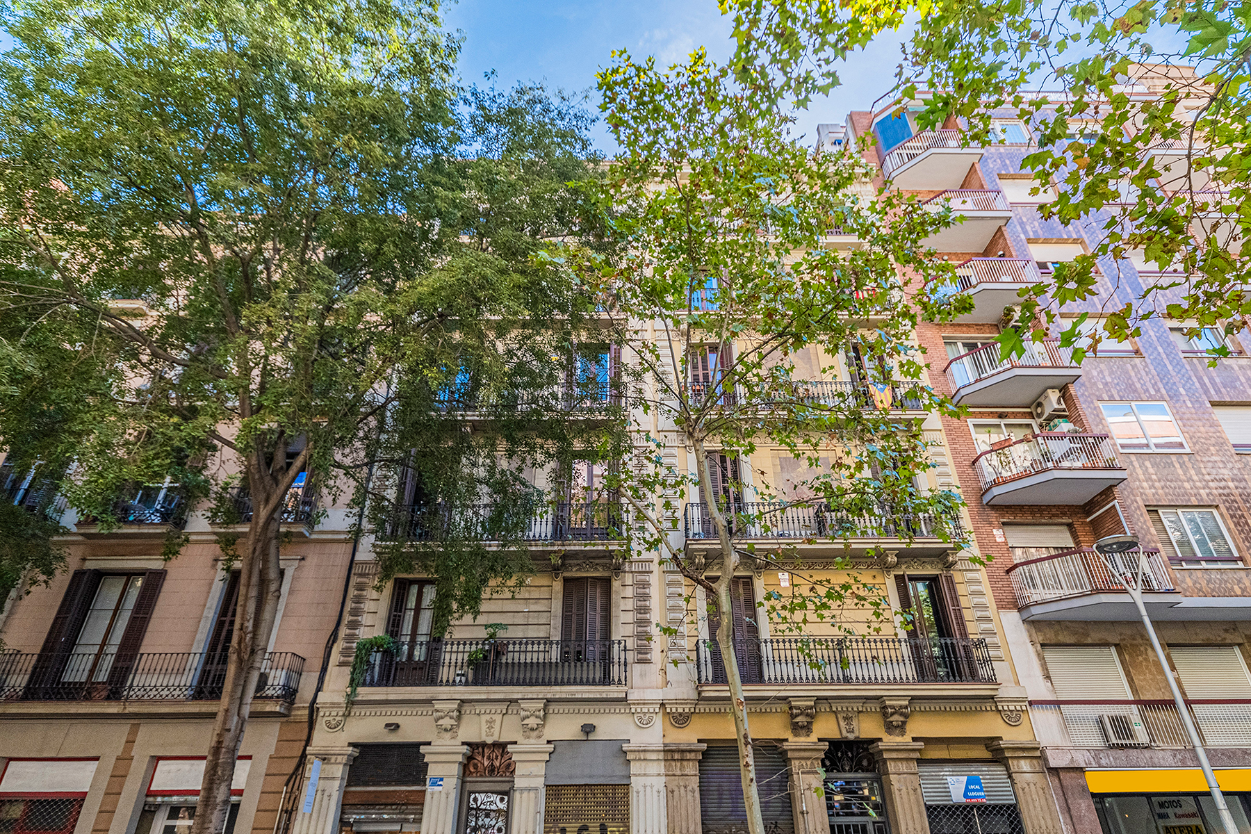  Beautifully renovated apartment in Eixample, next to Gracia - 物件實景