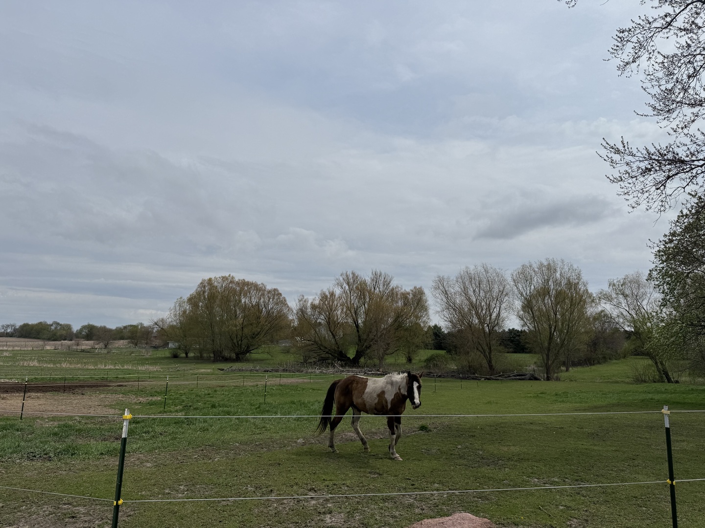 Belvidere, Illinois, 61008, United States, 3 Bedrooms Bedrooms, ,3 BathroomsBathrooms,Residential,For Sale,1795065