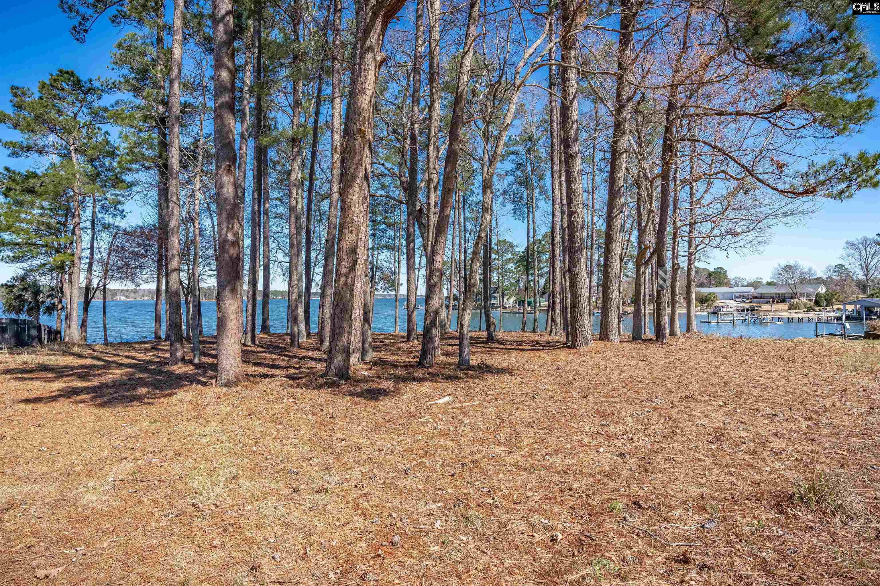 Lexington, South Carolina, 29072, United States, ,Land,For Sale,1709800