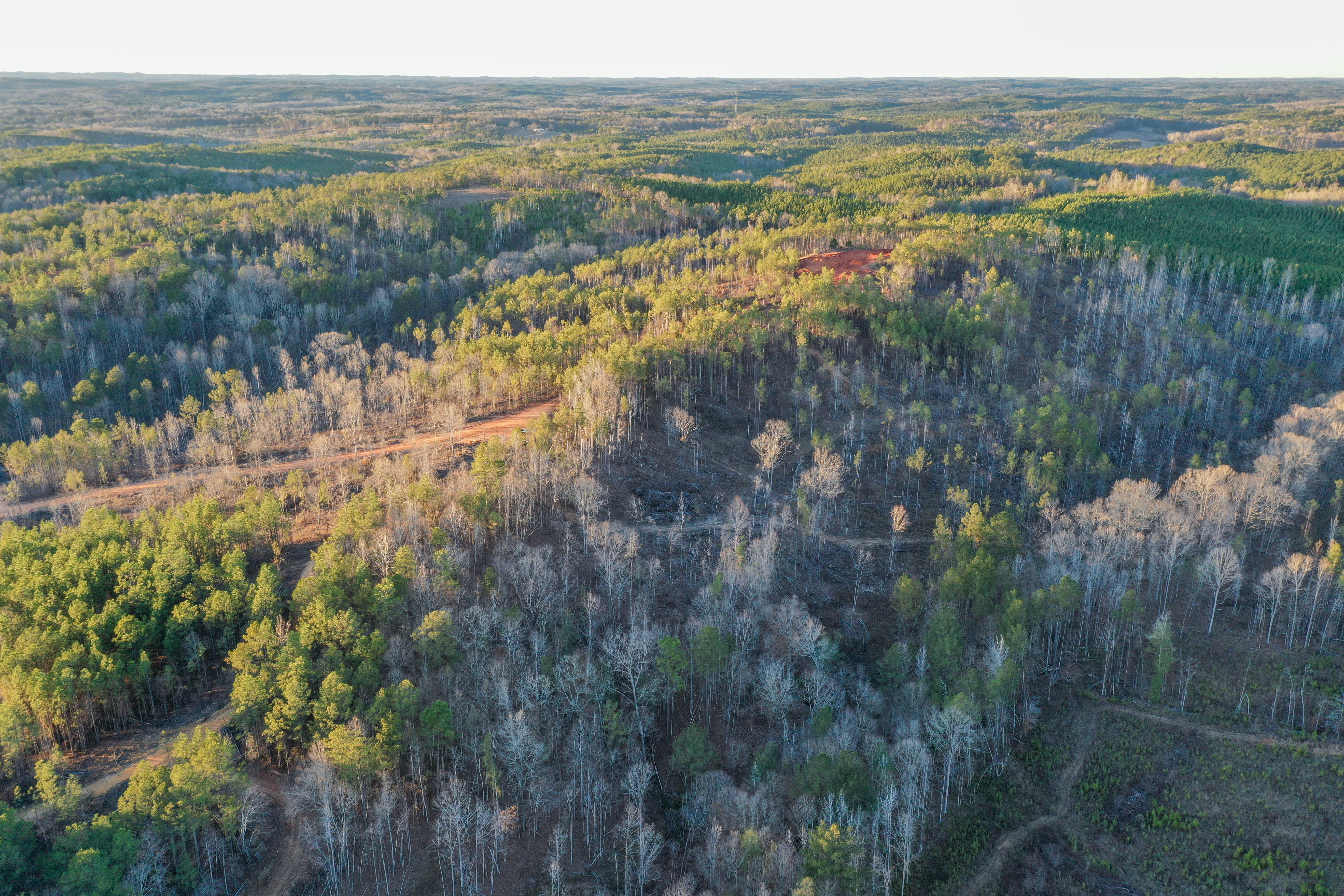 Centreville, Alabama, 35042, United States, ,Land,For Sale,2010430