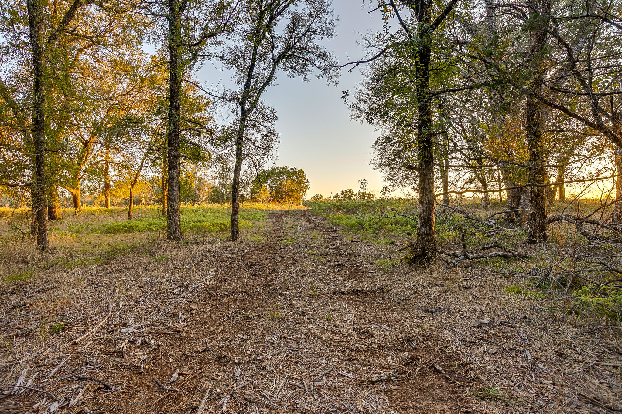  Lot 39 River Canyon, Mineral Wells, TX, 76484 - 物件實景