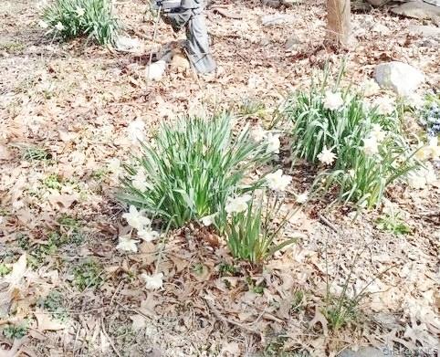 New Paltz, New York, 12561, United States, 3 Bedrooms Bedrooms, ,3 BathroomsBathrooms,Residential,For Sale,1975428