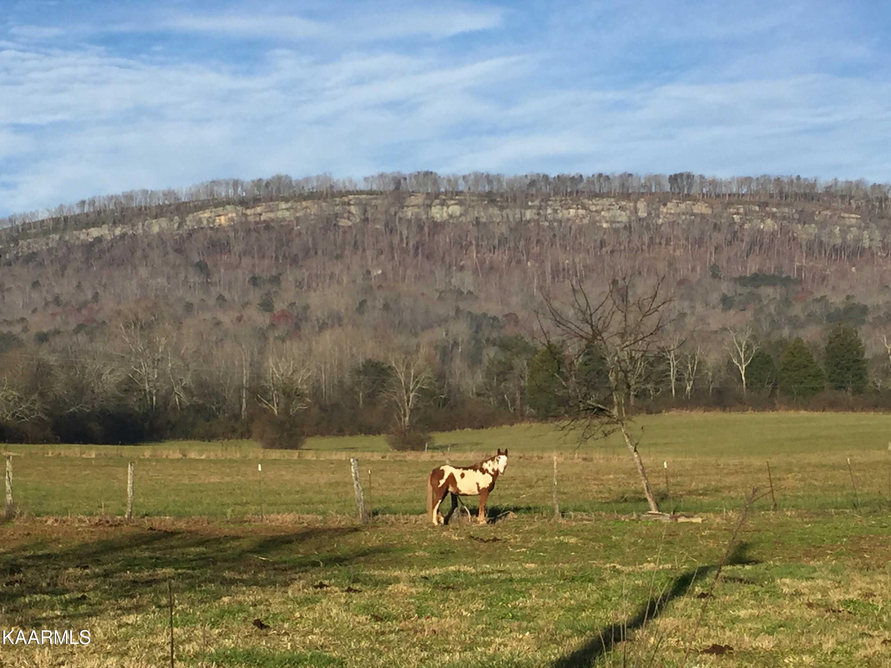 Pikeville, Tennessee, 37367, United States, ,Residential,For Sale,1943070