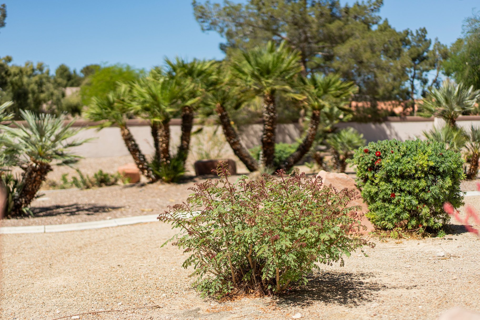  New to Market - 物件實景