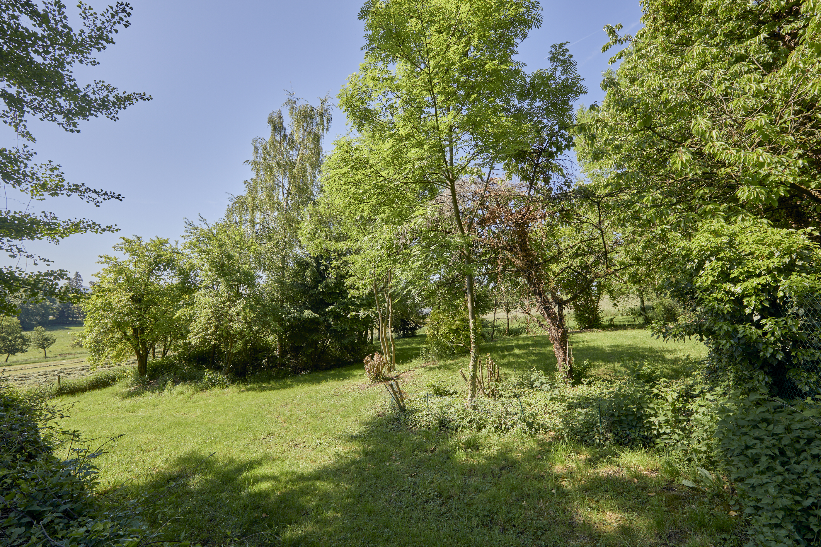  Domaine privé à Manternach - 物件實景