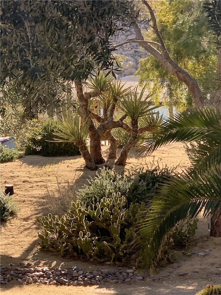 61218 Sandalwood, Joshua Tree, California, 92252, United States, 3 Bedrooms Bedrooms, ,2 BathroomsBathrooms,Residential,For Sale,61218 Sandalwood,1619785