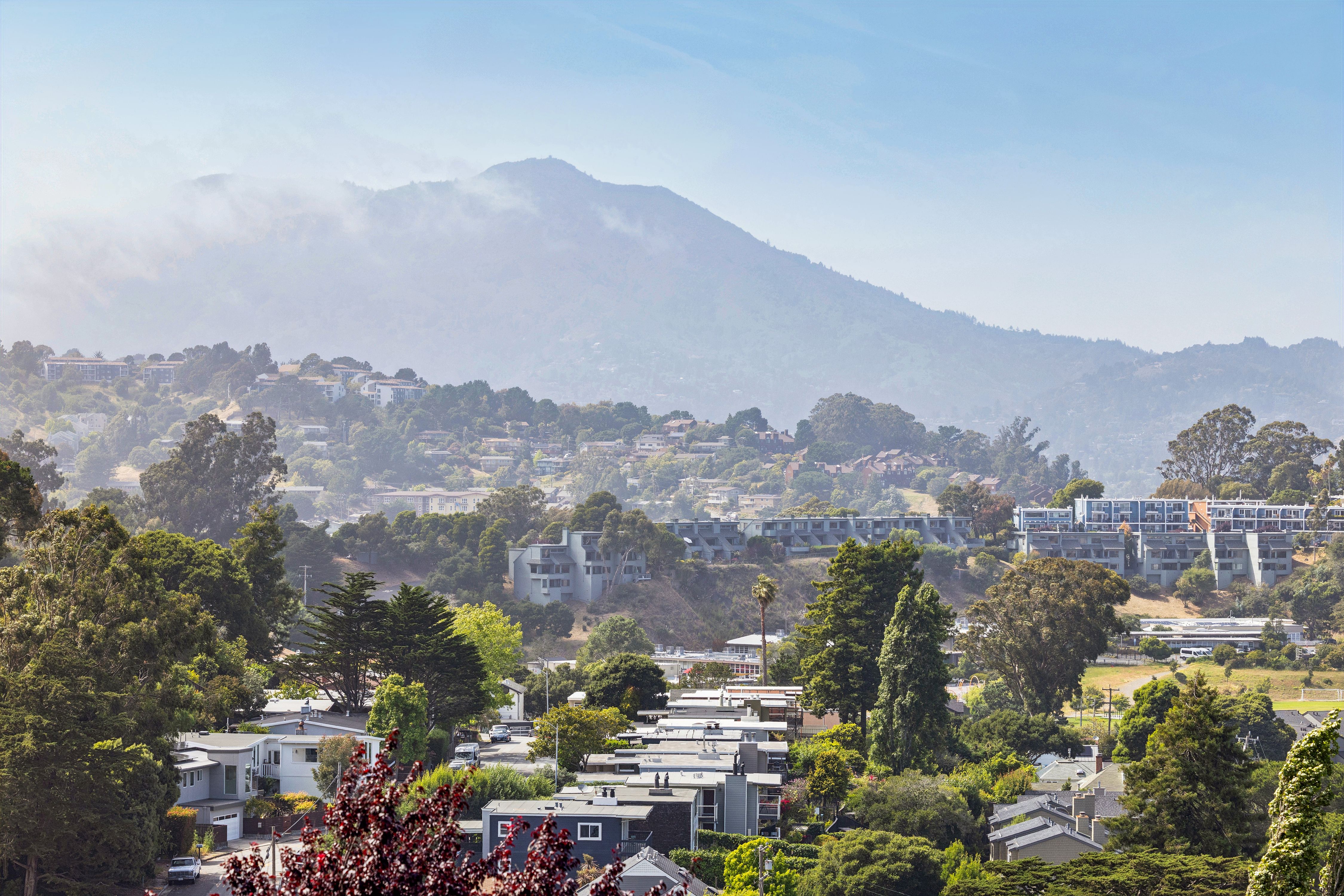  Marina Vista Townhome in Sausalito - 物件實景