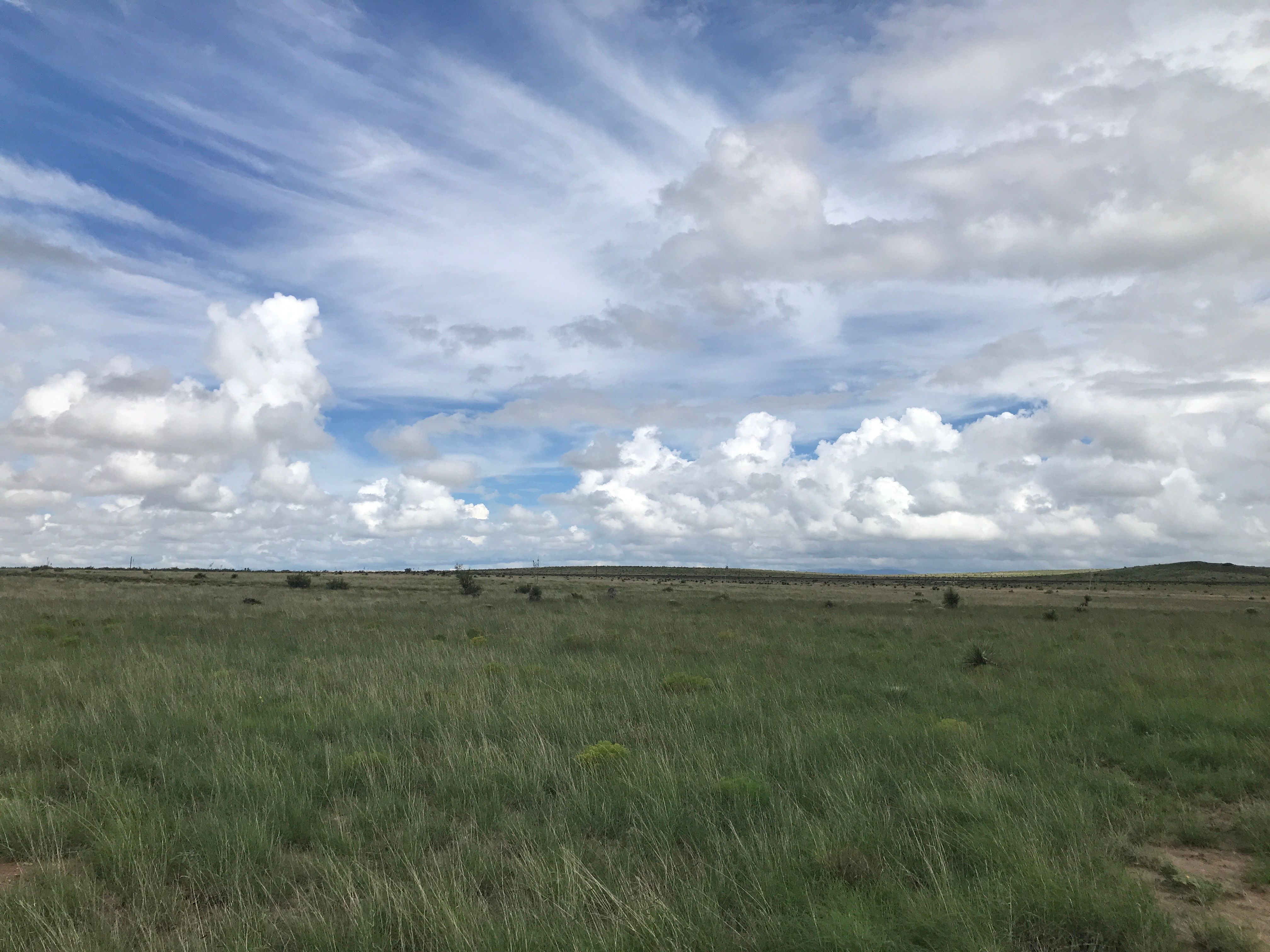  18311 Hwy 90, Marfa, TX 79843 - 物件實景