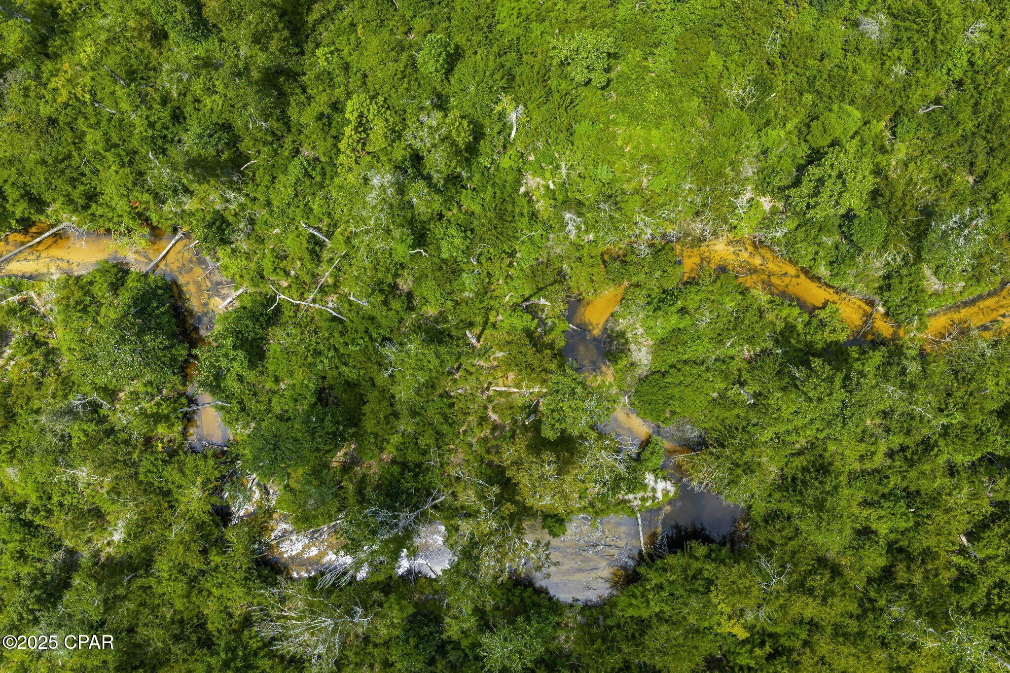 Youngstown, Florida, 32466, United States, 6 Bedrooms Bedrooms, ,6 BathroomsBathrooms,Residential,For Sale,1983496