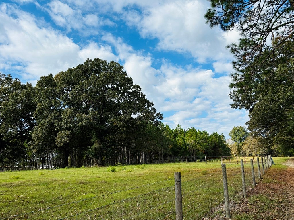 Abbeville, Georgia, 31001, United States, ,Land,For Sale,1975130