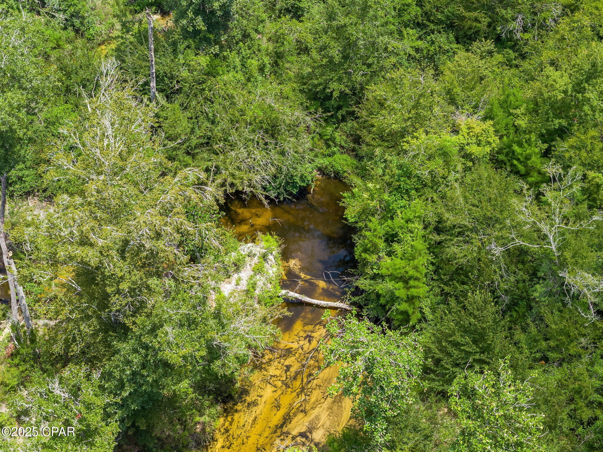 Youngstown, Florida, 32466, United States, 6 Bedrooms Bedrooms, ,6 BathroomsBathrooms,Residential,For Sale,1983496