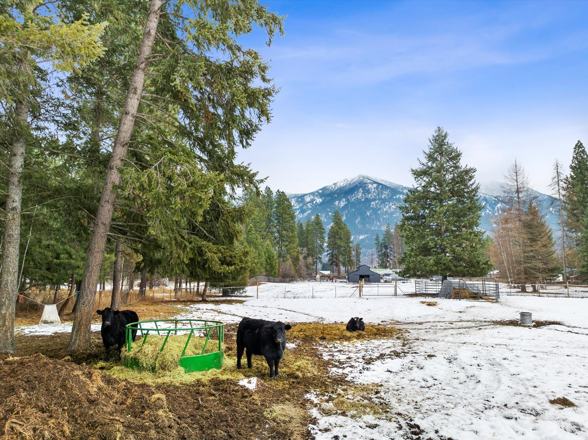 1985 Mt Highway 206, Columbia Falls, Montana, 59912, United States, 3 Bedrooms Bedrooms, ,1 BathroomBathrooms,Residential,For Sale,1985 Mt Highway 206,1672073