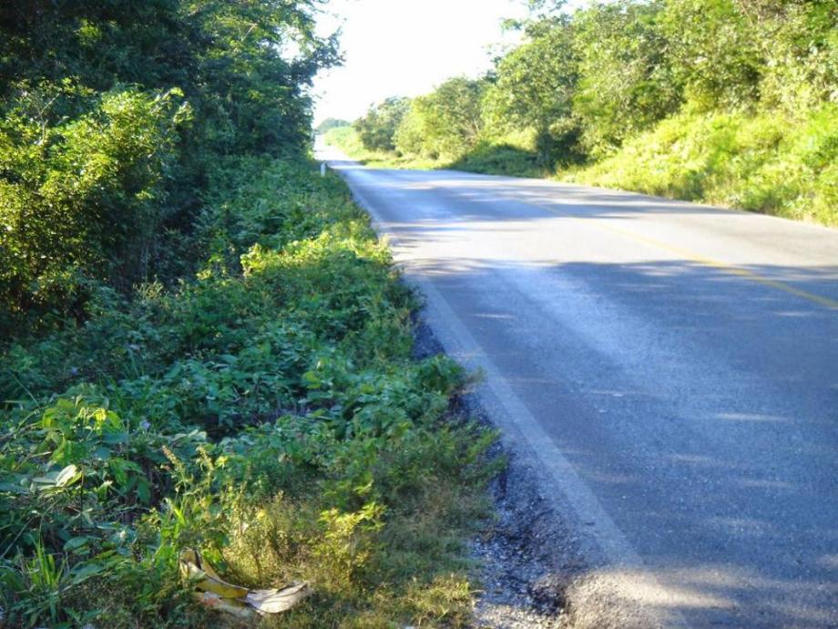 Carretera Federal M?rida-Valladolid, Benito Juárez, Quintana Roo, 77500, Mexico, 1 Bedroom Bedrooms, ,Residential,For Sale,Carretera Federal M?rida-Valladolid,1443849