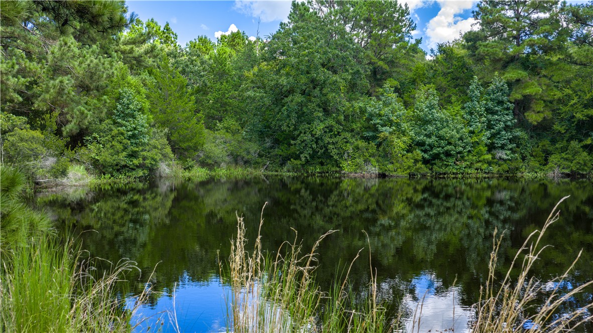 Midway, Texas, 75852, United States, 1 Bedroom Bedrooms, ,1 BathroomBathrooms,Residential,For Sale,1957289