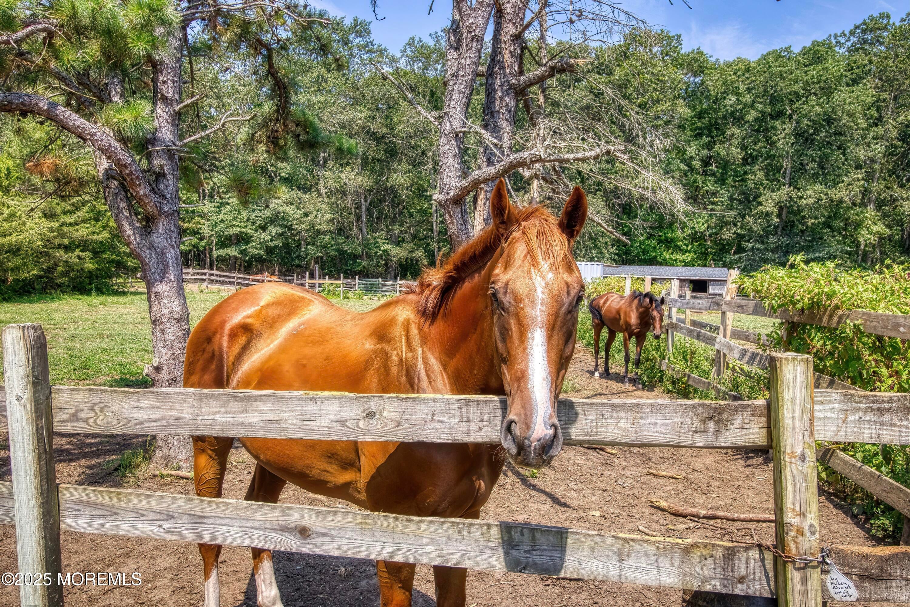 Jackson, New Jersey, 08527, United States, 4 Bedrooms Bedrooms, ,3 BathroomsBathrooms,Residential,For Sale,1973724