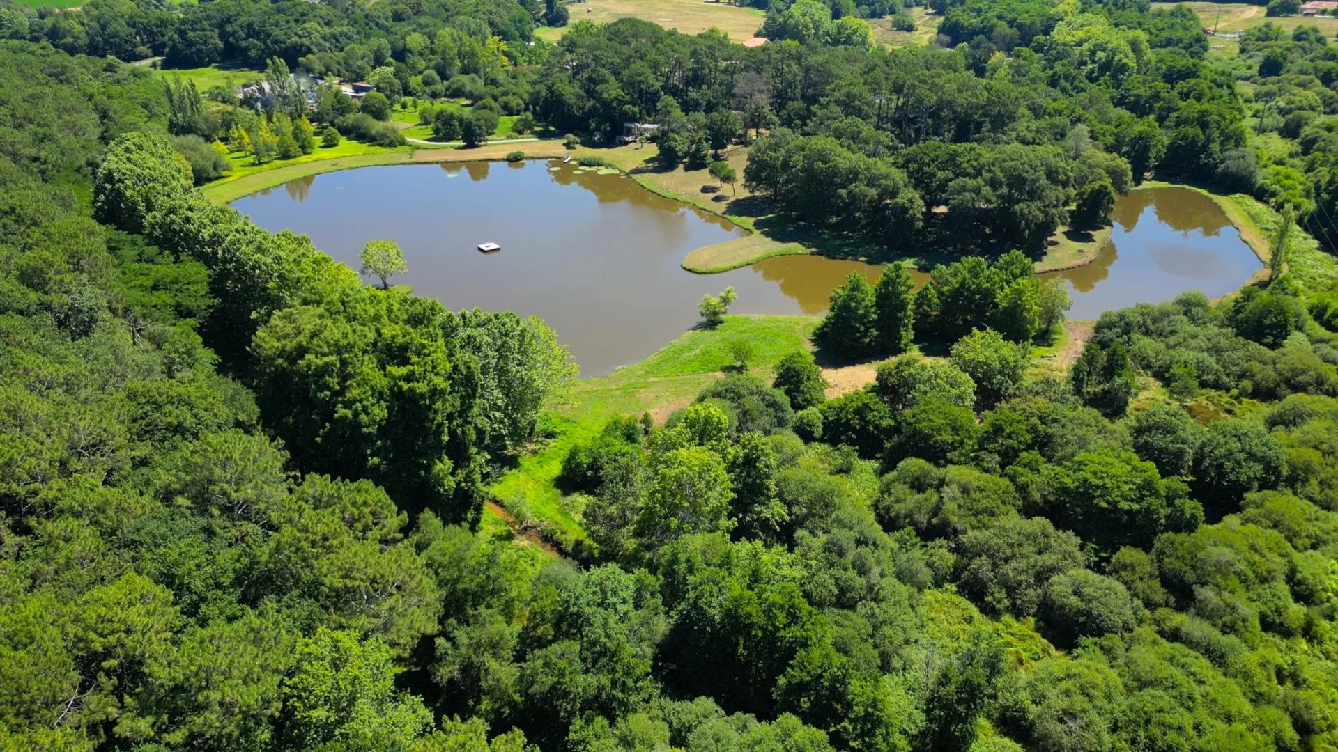 Angresse, New Aquitaine, 40150, FR, ,Residential,For Sale,1996845