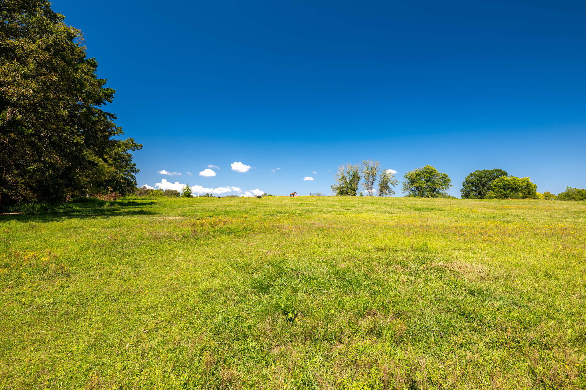 Harrison, Tennessee, 37341, United States, 4 Bedrooms Bedrooms, ,4 BathroomsBathrooms,Residential,For Sale,1951177