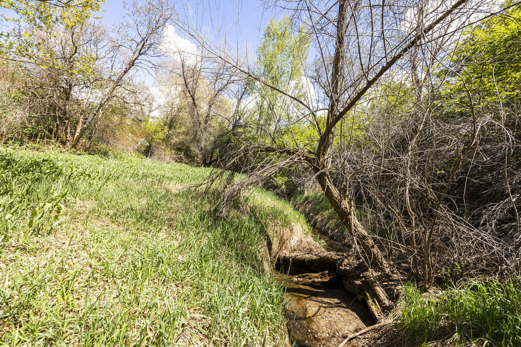  1.47 Acre Lot In East Layton With Endless Possibilities - 物件實景
