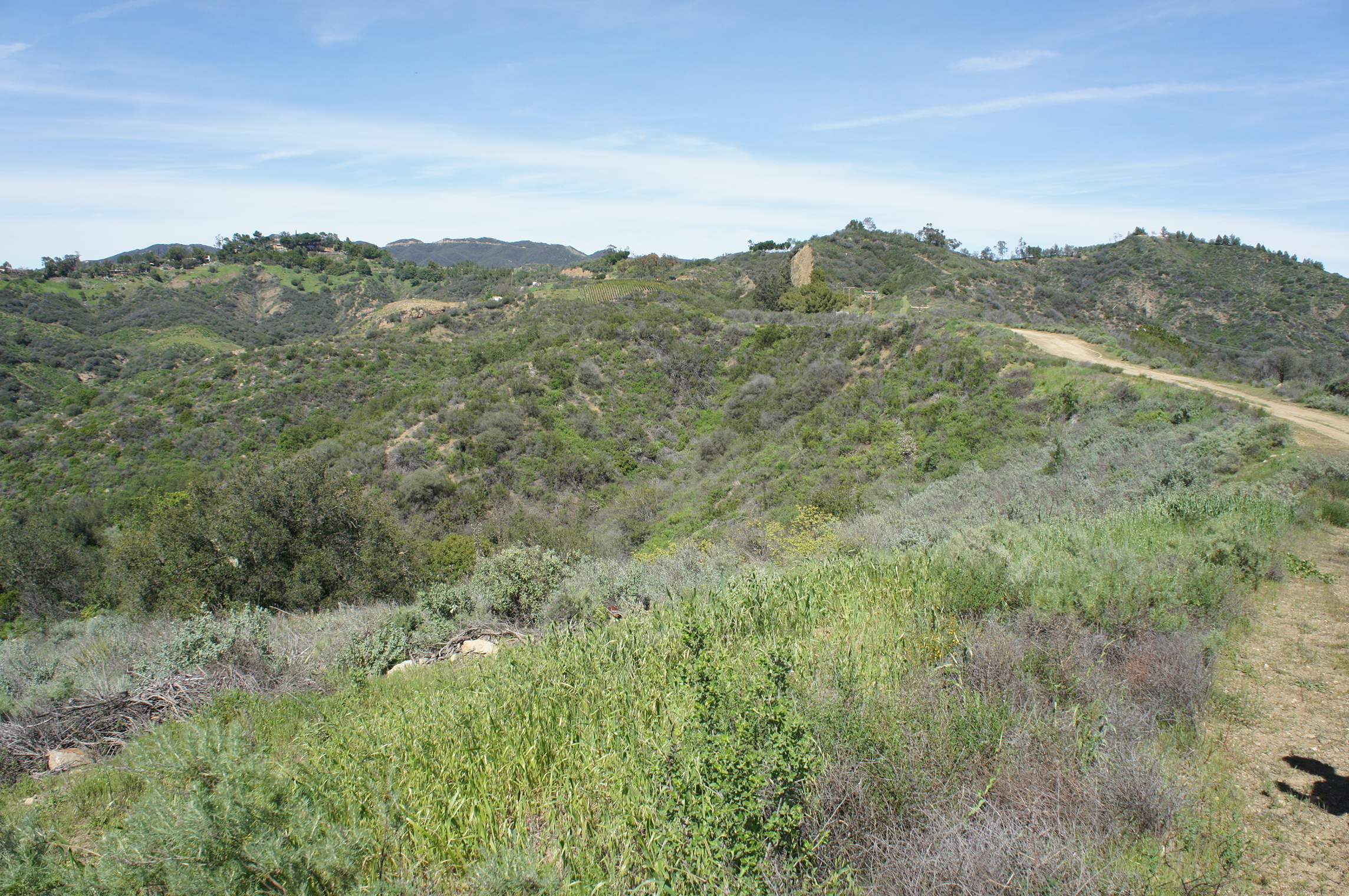  0 Encinal Canyon Rd - 物件實景
