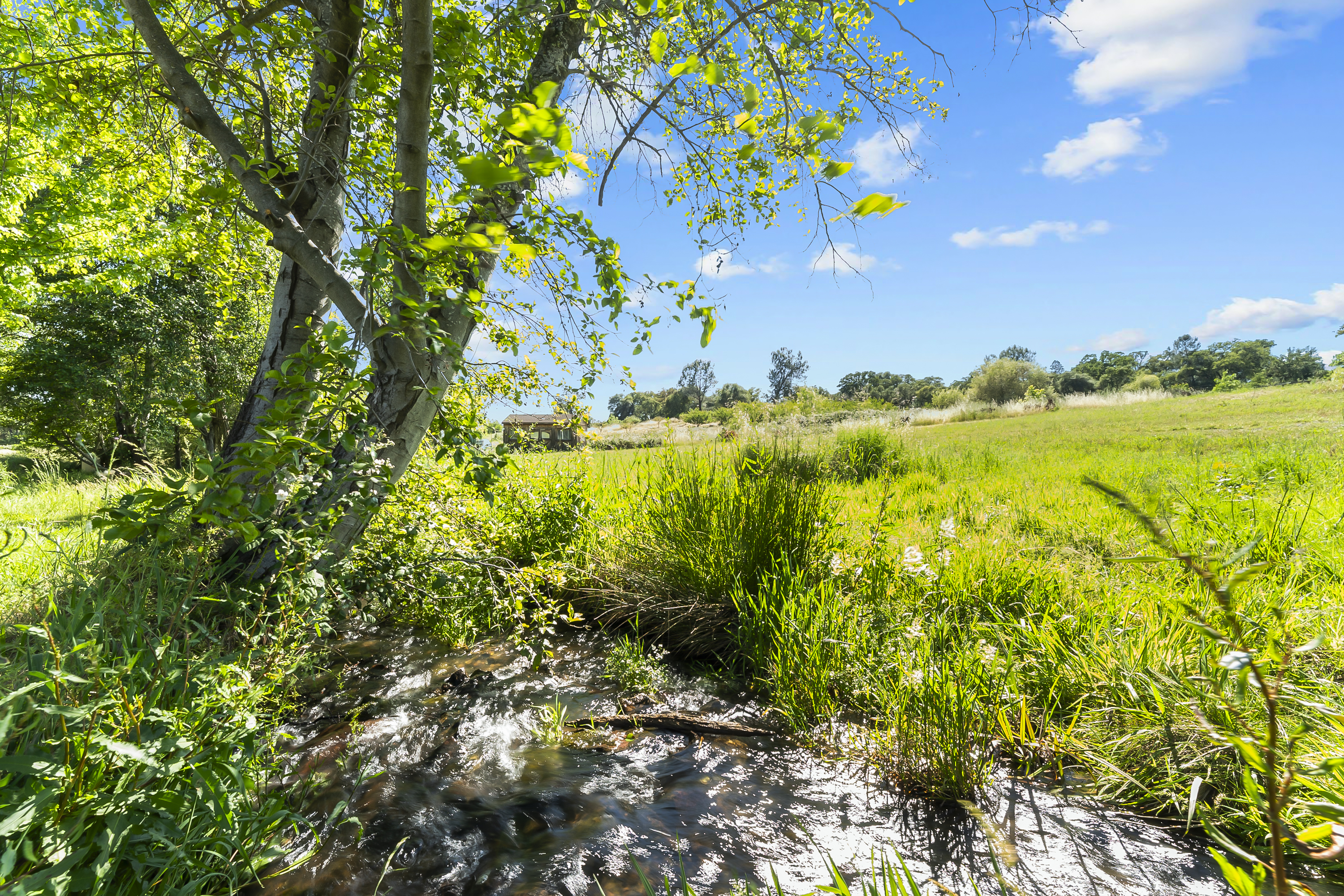  2105 Precision Place, Auburn, CA 95603 - 物件實景