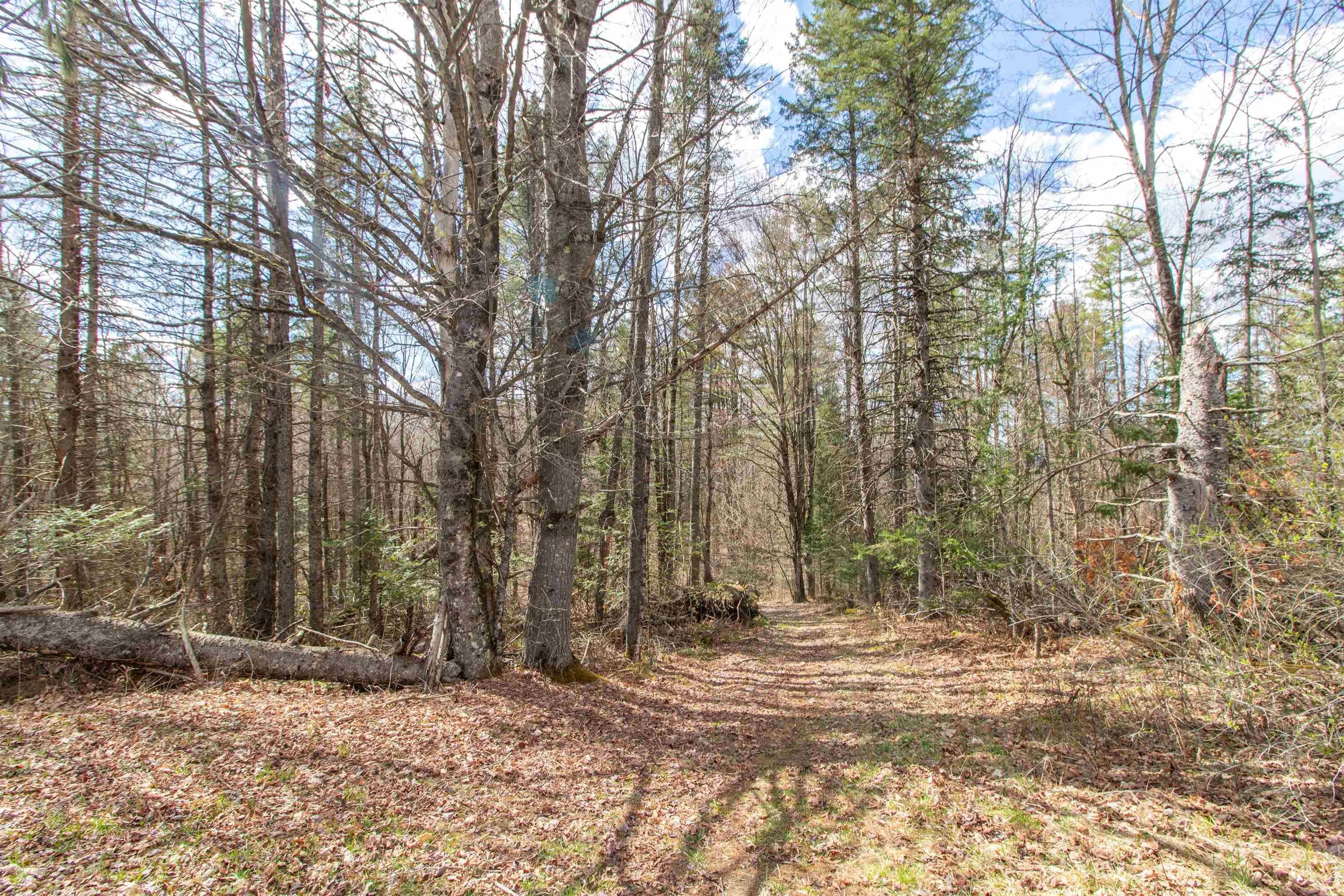 Burke, Vermont, 05832, United States, ,Land,For Sale,2041867