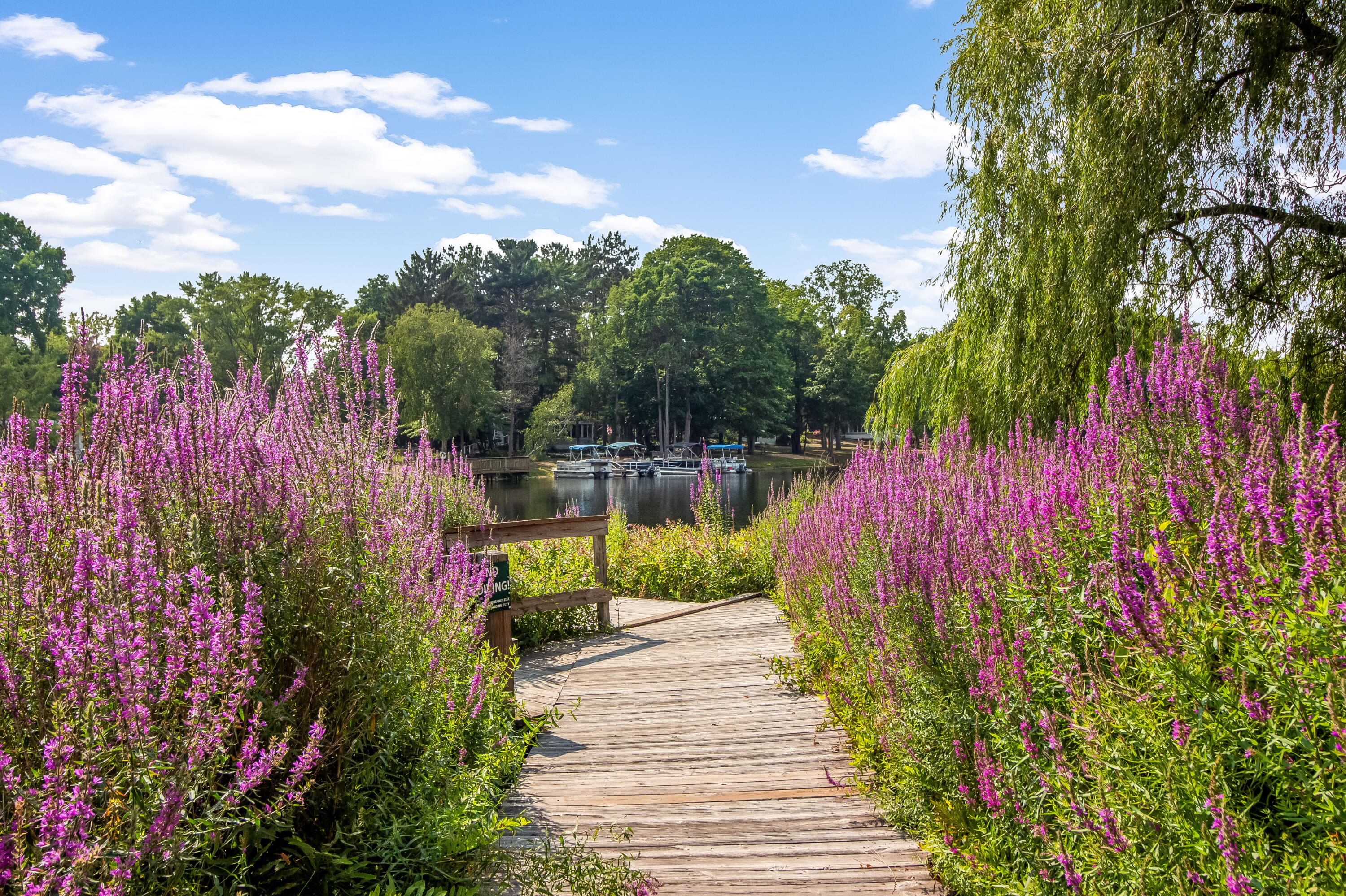 Saugatuck, Michigan, 49453, United States, 3 Bedrooms Bedrooms, ,3 BathroomsBathrooms,Residential,For Sale,1981176