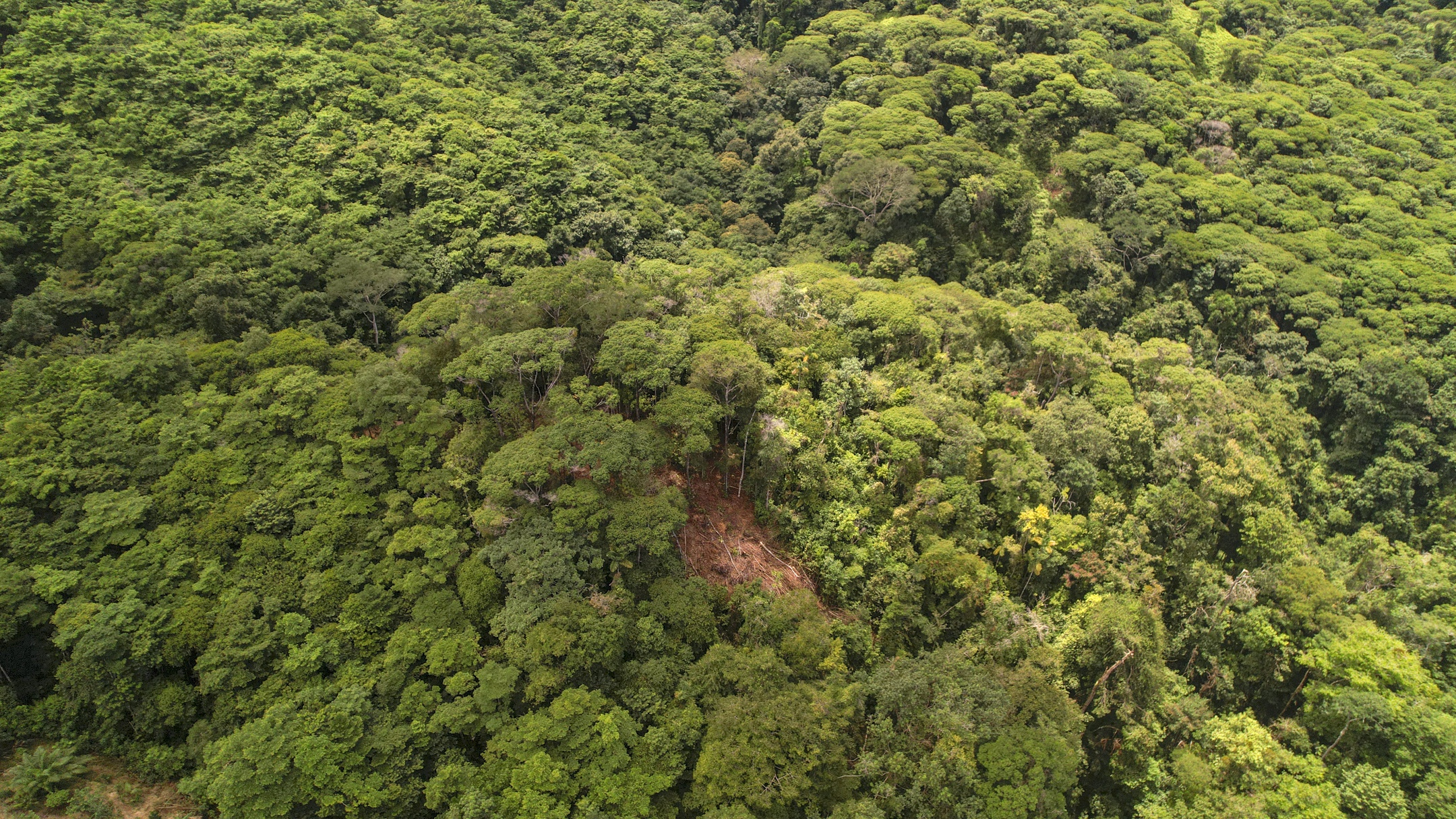 Costa Verde Estates Lot 81 & 84, Islas Road, Dominical, Puntarenas, CR, ,Land,For Sale,Costa Verde Estates Lot 81 & 84, Islas Road,1611884