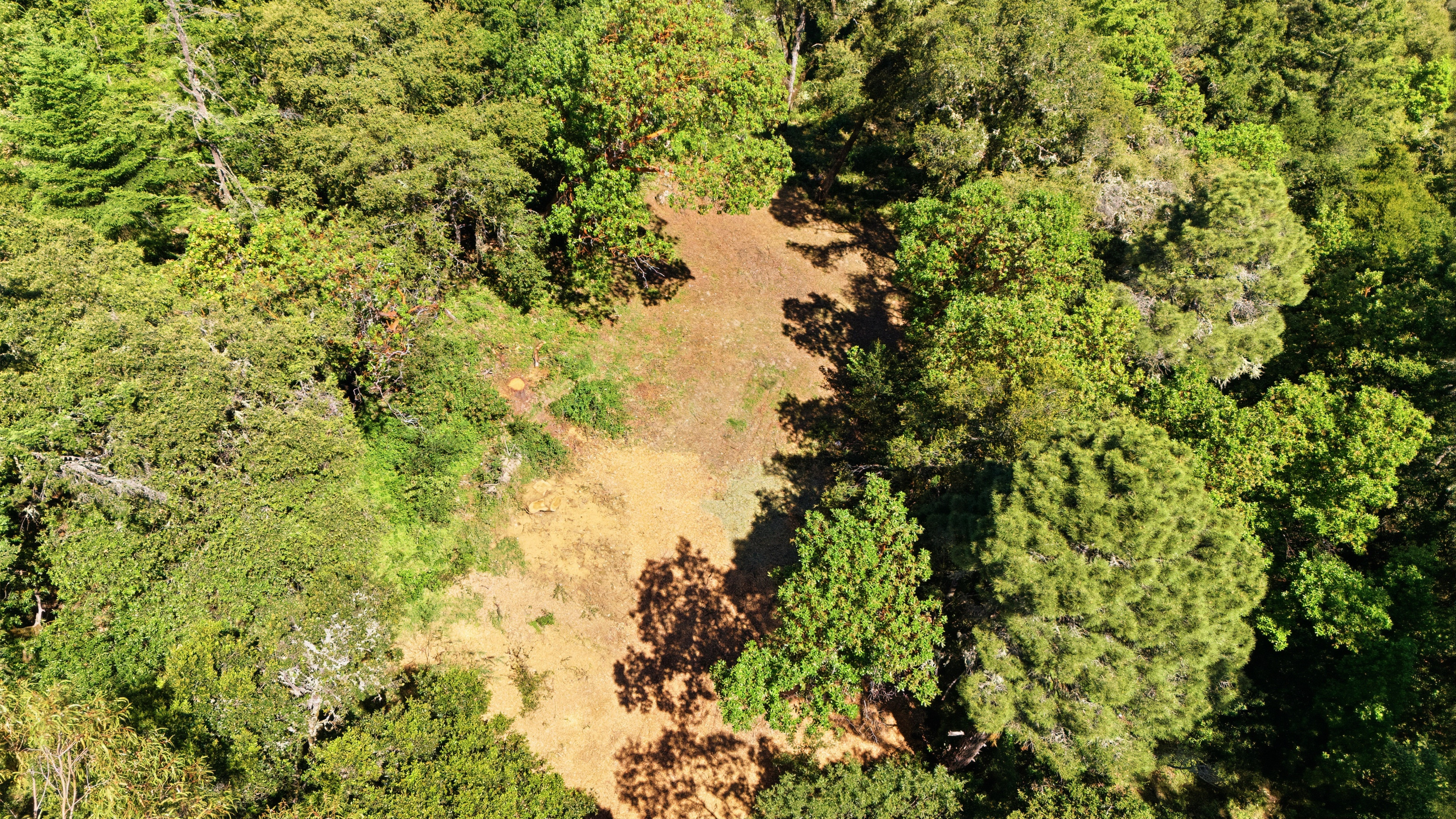  Exceptional Five-Acre Estate Opportunity with Bay Area Views - 物件實景