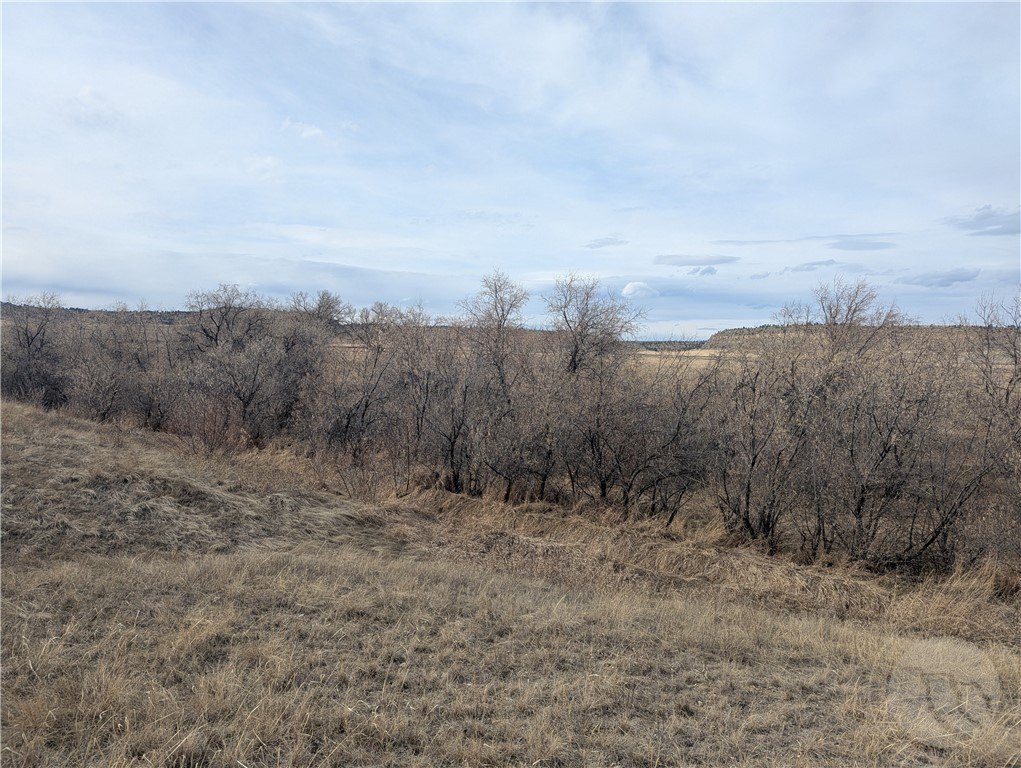 Billings, Montana, 59106, United States, ,Land,For Sale,1979868