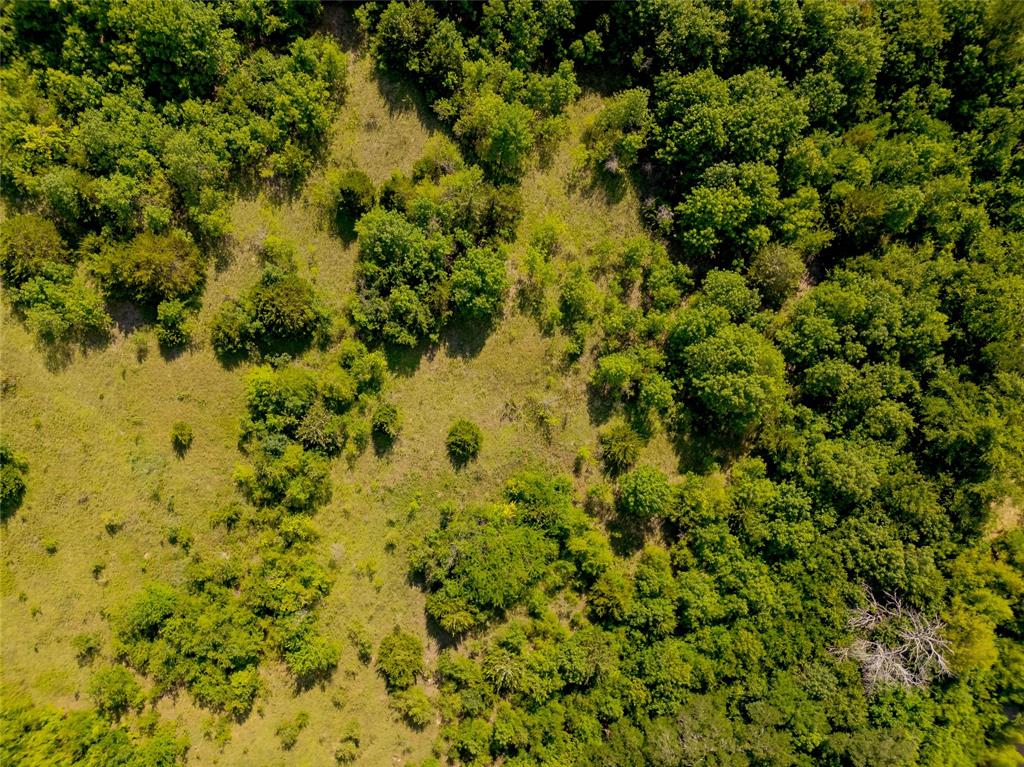 Anna, Texas, 75409, United States, ,Land,For Sale,1918003