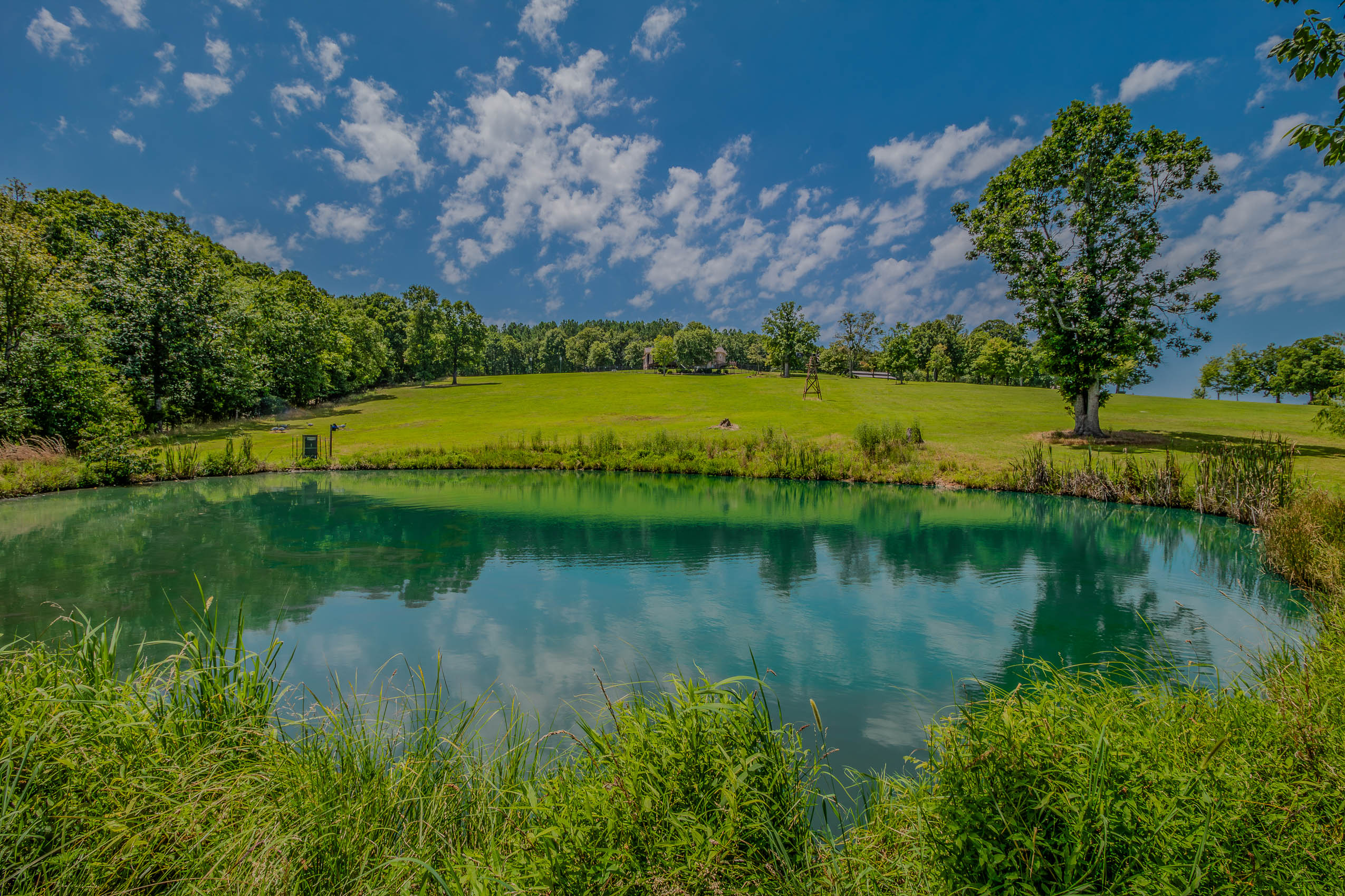  14390 Hwy 23, Witter, AR 72776 - 物件實景
