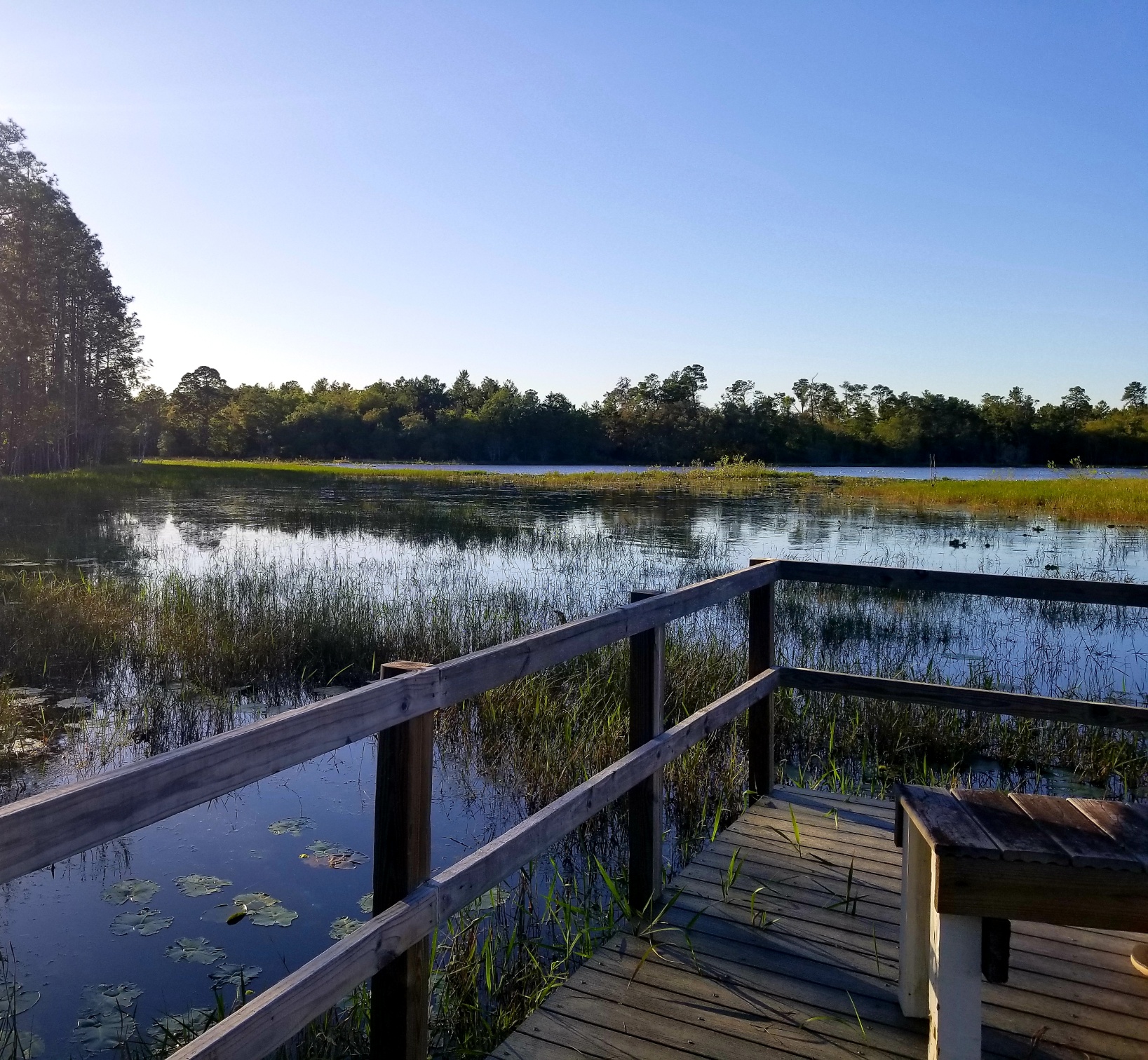 Crescent City, Florida, 32112, United States, 3 Bedrooms Bedrooms, ,Residential,For Sale,1943511