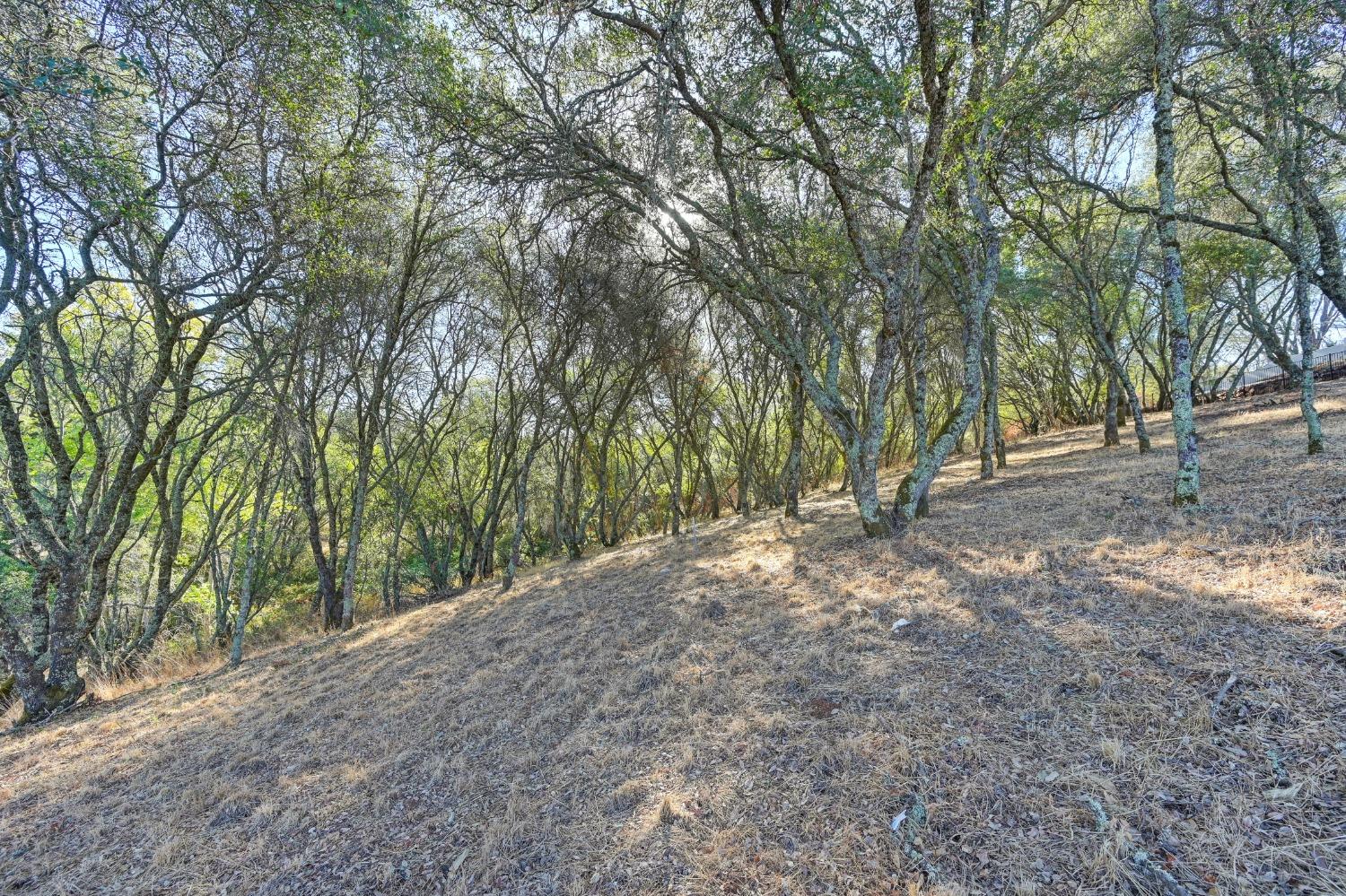 El Dorado Hills, California, 95762, United States, ,Land,For Sale,1993227
