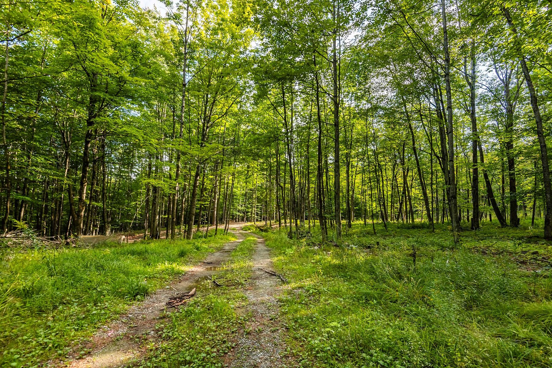  Hatley - Canton, Eastern Townships - 物件實景