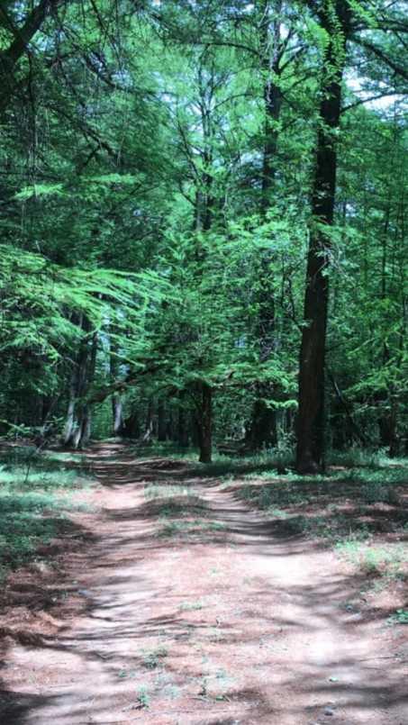 CONOCIDO NOMBRE DE DIOS DURANGO, Nombre de Dios, Durango, 34840, Mexico, 1 Bedroom Bedrooms, ,Residential,For Sale,CONOCIDO NOMBRE DE DIOS DURANGO,1627562