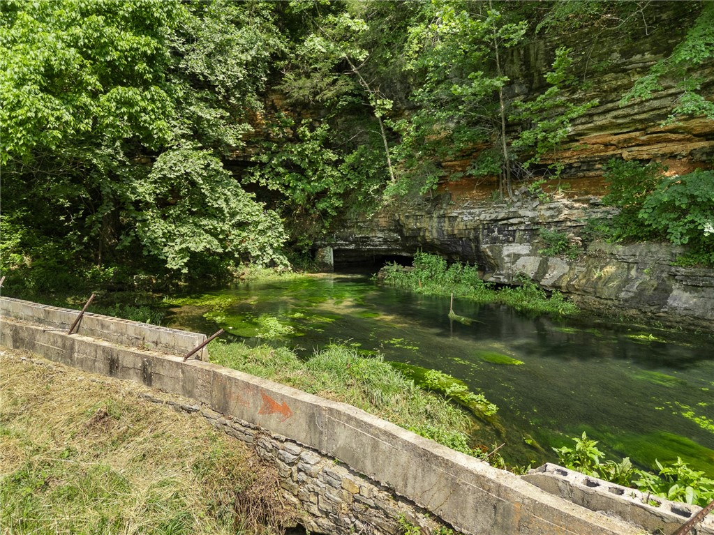 Harrison, Arkansas, 72601, United States, ,Land,For Sale,1903823