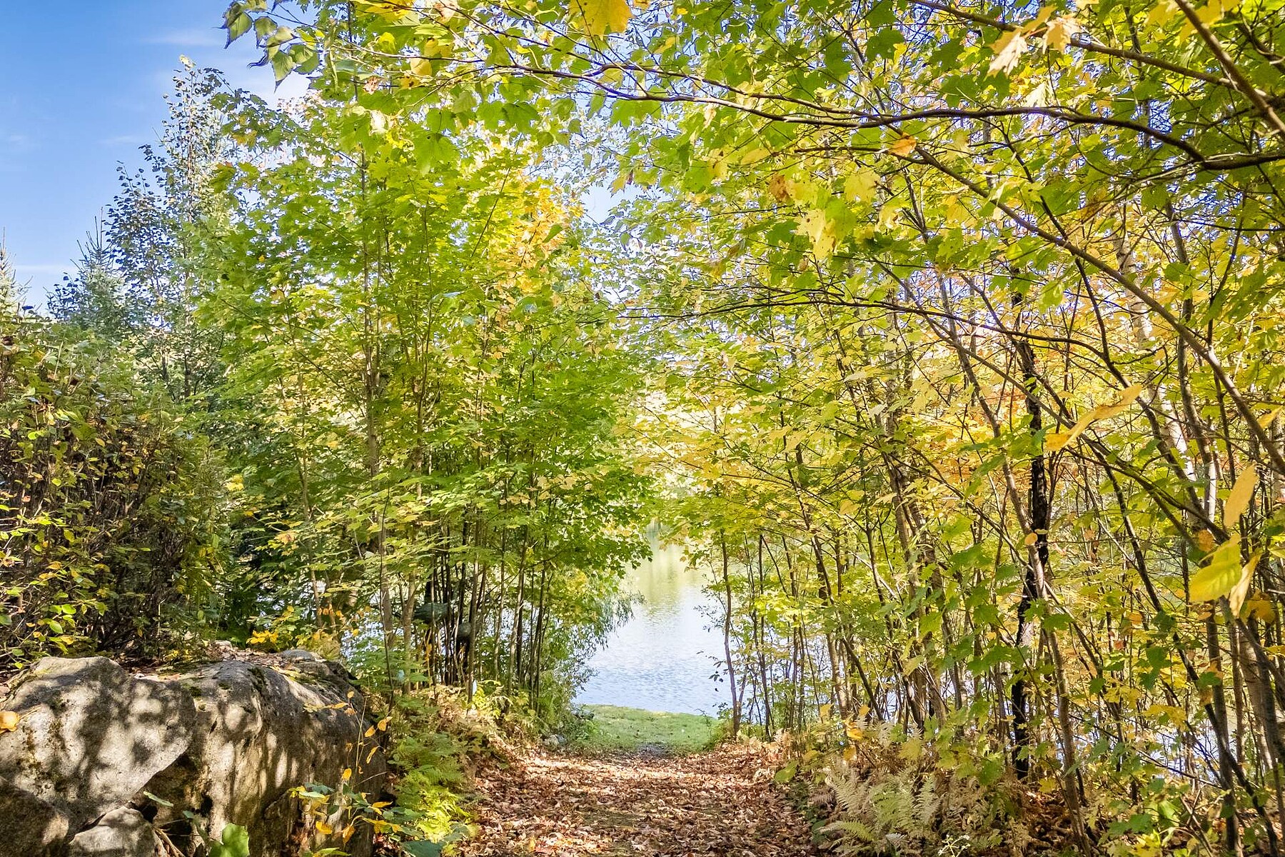  Shefford, Eastern Townships - 物件實景