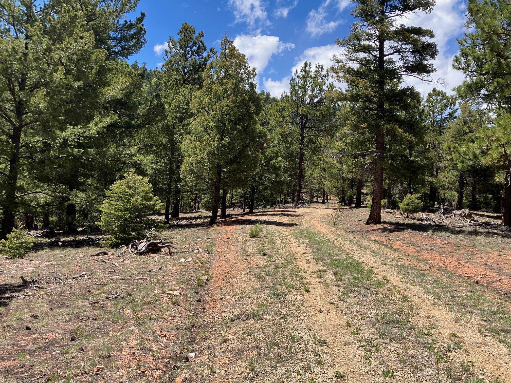 Eagle Nest, New Mexico, 87718, United States, ,Land,For Sale,1752253