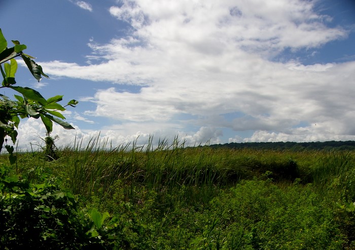 Cabarete, DO, ,Land,For Sale,1627535