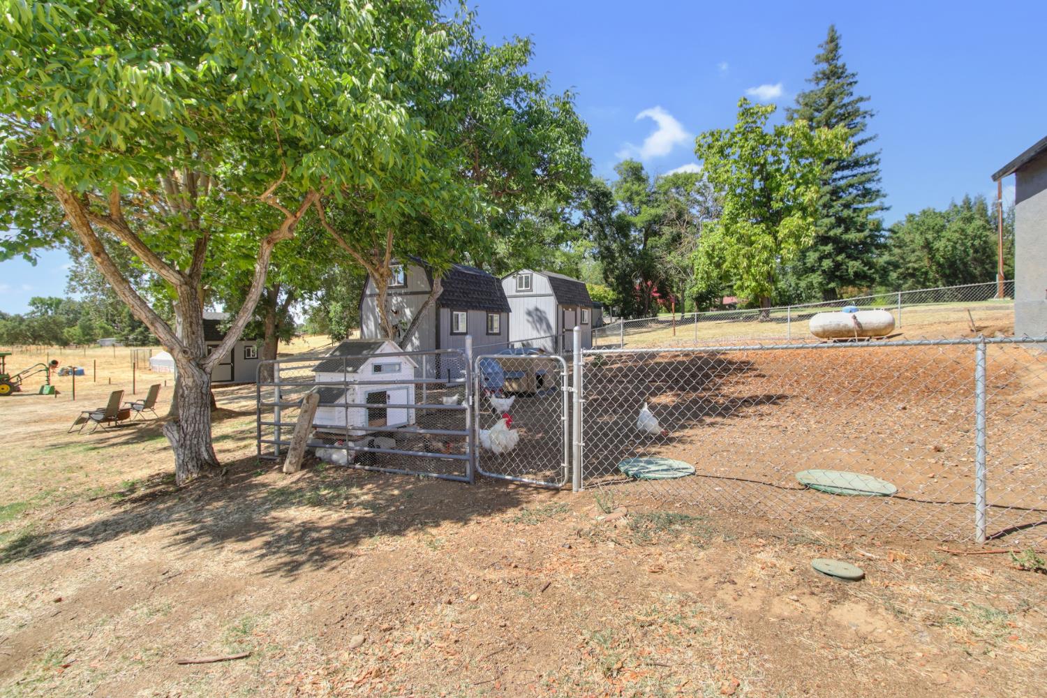 Wilton, California, 95693, United States, 3 Bedrooms Bedrooms, ,2 BathroomsBathrooms,Residential,For Sale,1901221