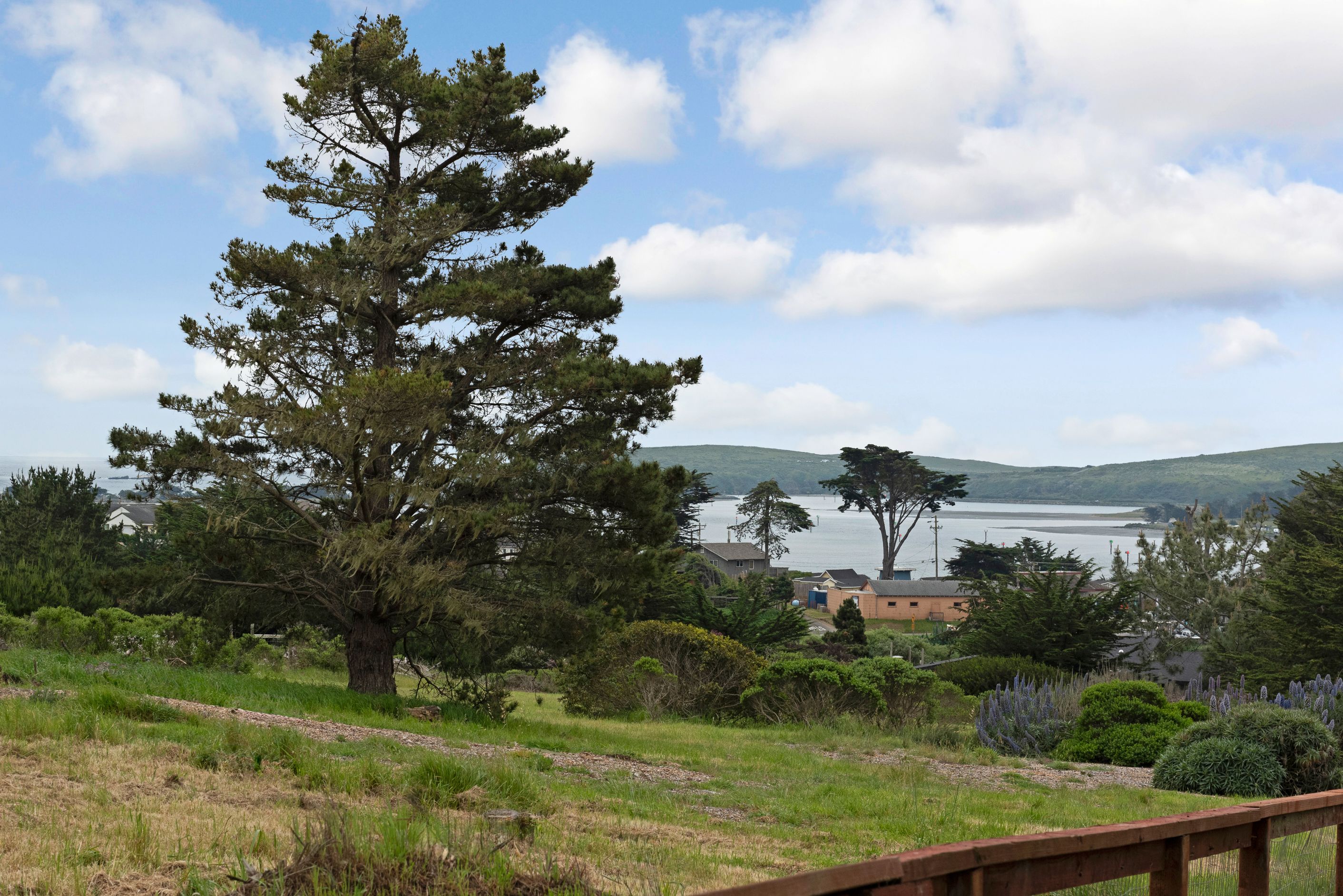  1534 California 1, Bodega Bay, CA 94923 - 物件實景