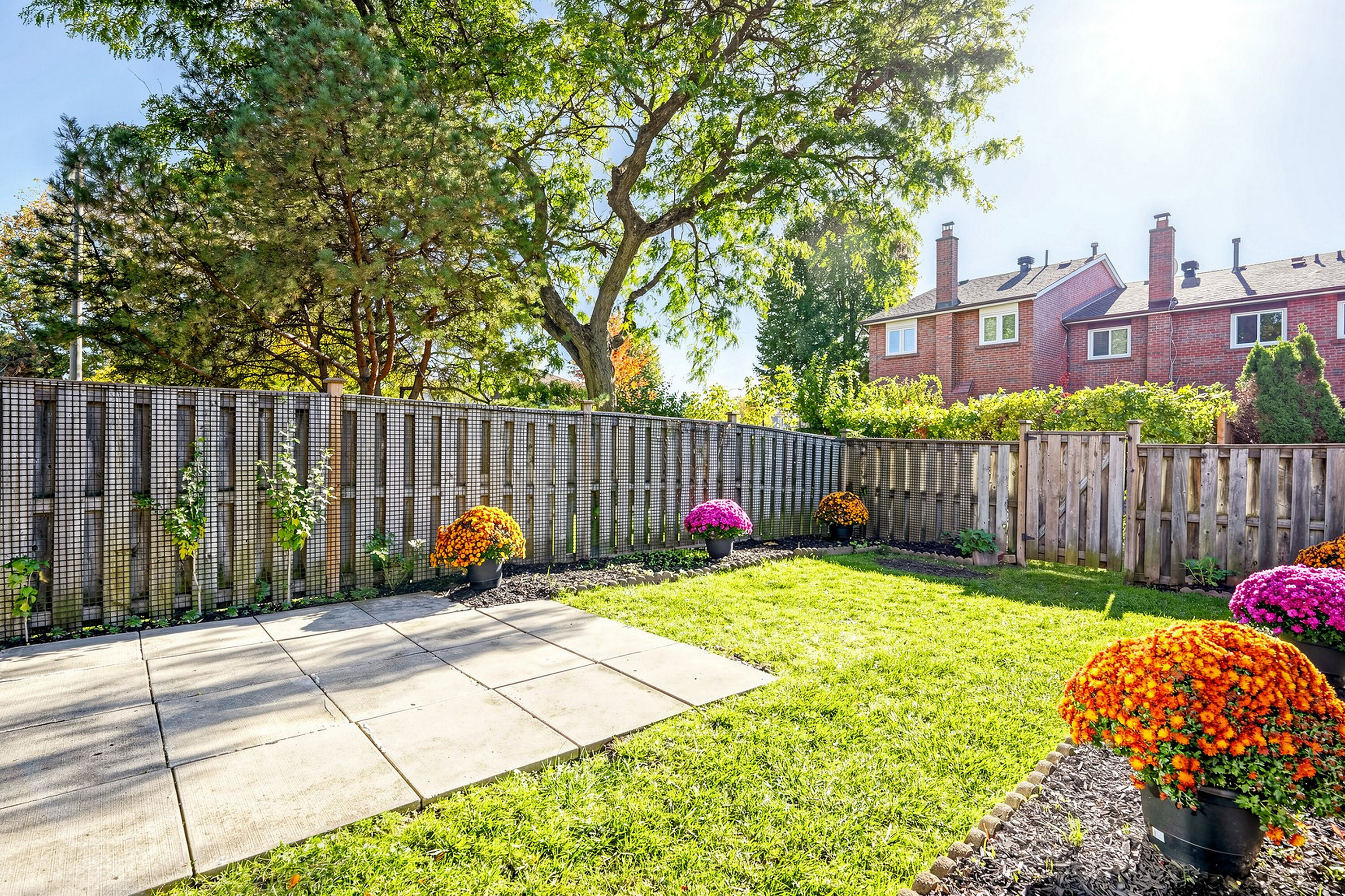 Birchmount Community - 物件實景