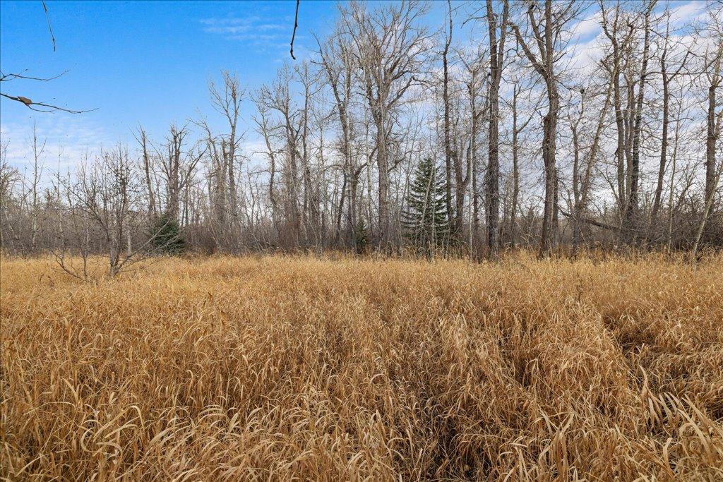 Red Lodge, Montana, 59068, United States, 3 Bedrooms Bedrooms, ,2 BathroomsBathrooms,Residential,For Sale,1994596