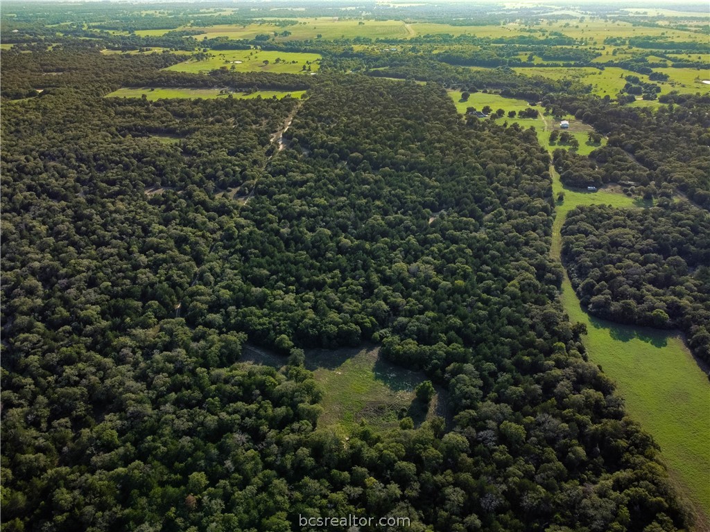 5632 County Road 317, Caldwell, Texas, 77836, United States, ,Land,For Sale,5632 County Road 317,1609859