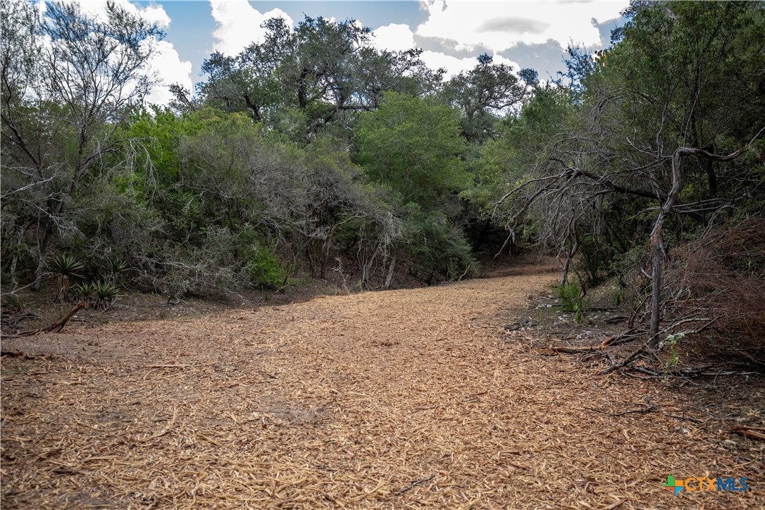 Cuero, Texas, 77954, United States, ,Residential,For Sale,1963995