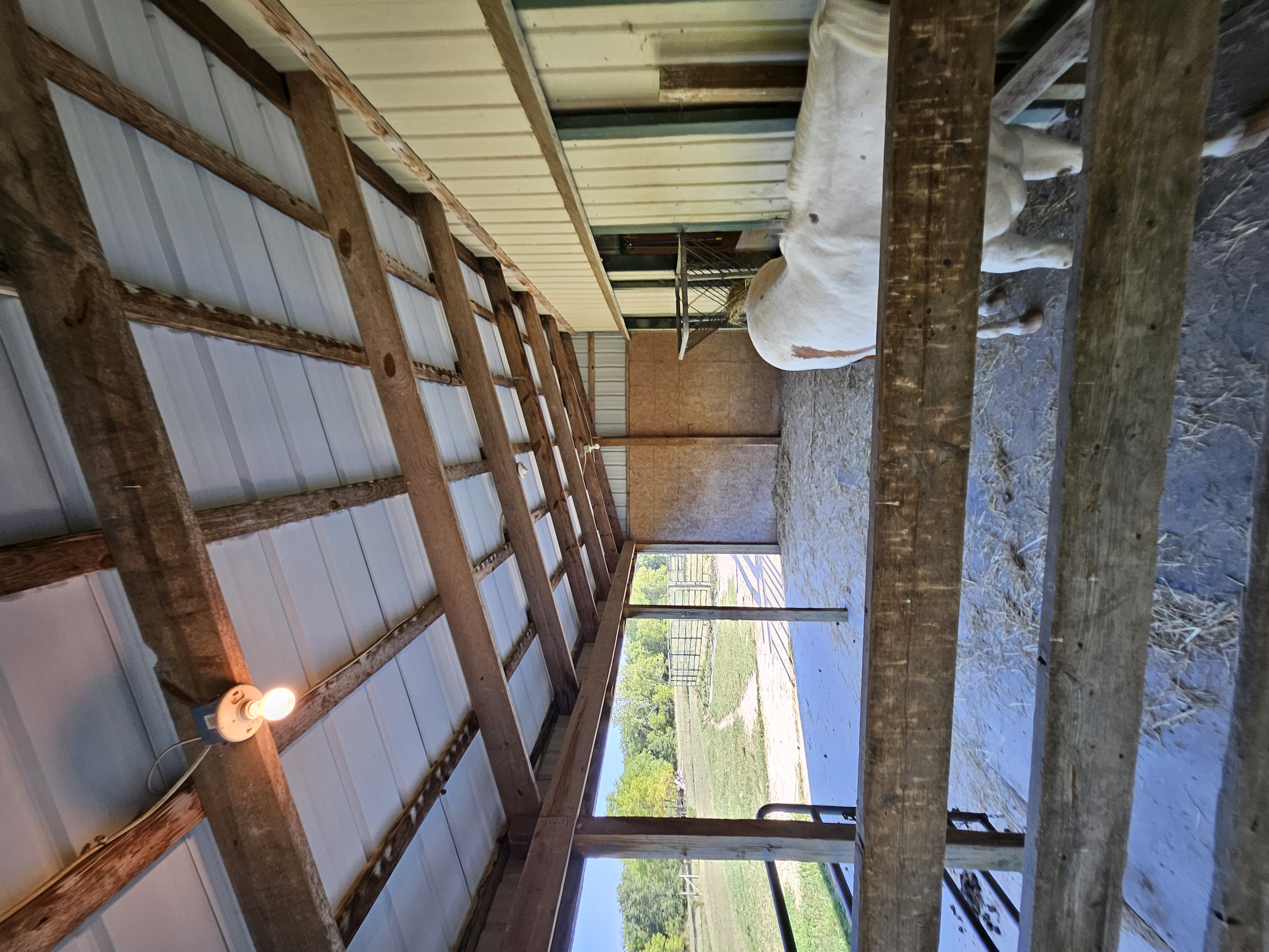 Aurora, Missouri, 65605, United States, 4 Bedrooms Bedrooms, ,2 BathroomsBathrooms,Residential,For Sale,1984470