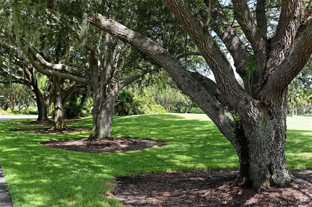 409 N Point Road Unit 501, Osprey, Florida, 34229, United States, 3 Bedrooms Bedrooms, ,3 BathroomsBathrooms,Residential,For Sale,409 N Point Road Unit 501,1626321