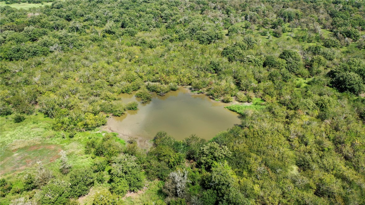 TBD Tonkaway Lake (PVT) RD TX Road, College Station, Texas, 77845, United States, ,Land,For Sale,TBD Tonkaway Lake (PVT) RD TX Road,1673471