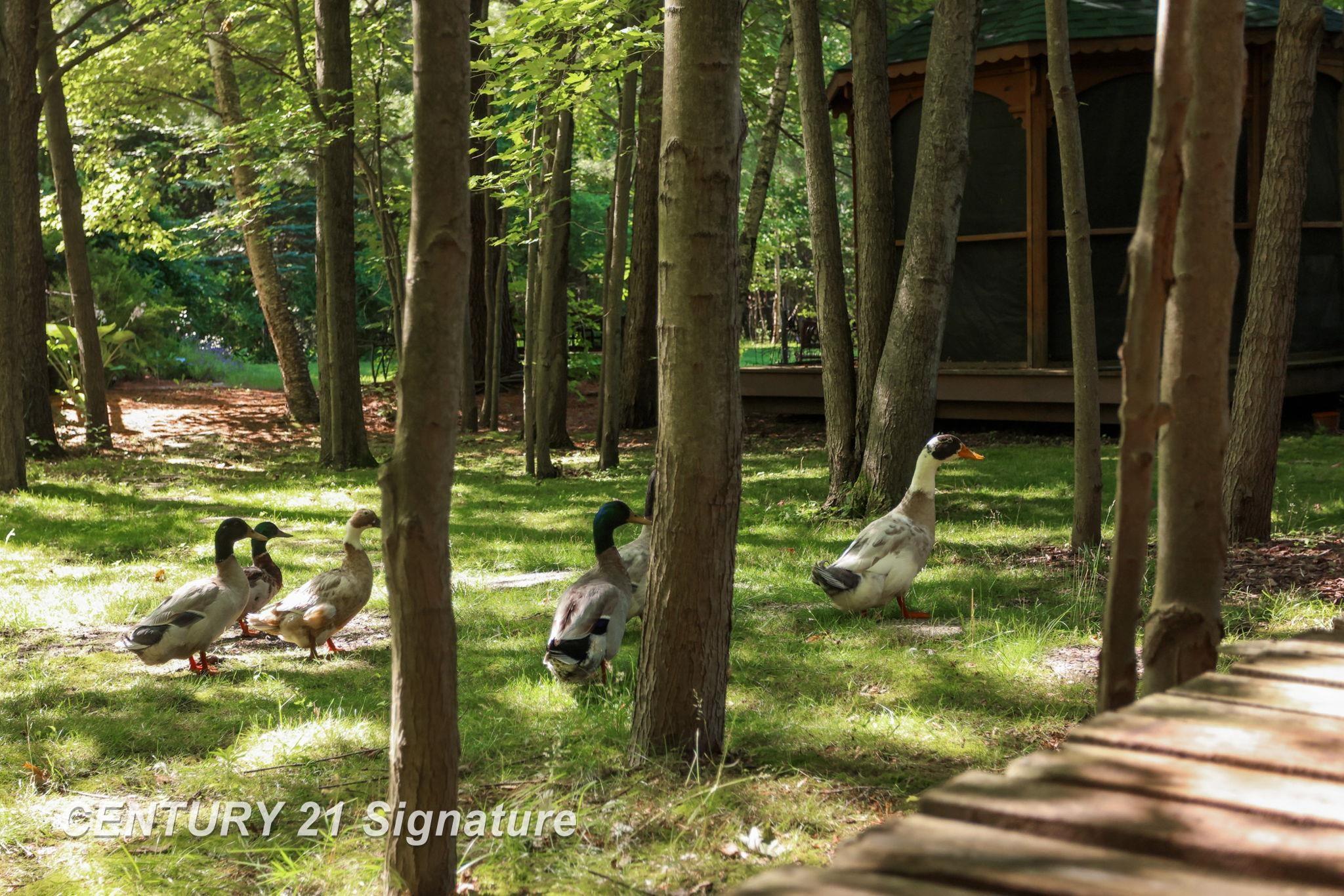 Chesaning, Michigan, 48616, United States, 4 Bedrooms Bedrooms, ,3 BathroomsBathrooms,Residential,For Sale,1980512